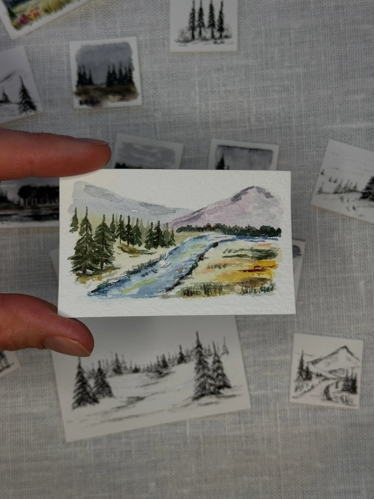 Spring minis. Where would you rather be? Wildflower meadow or by the river?