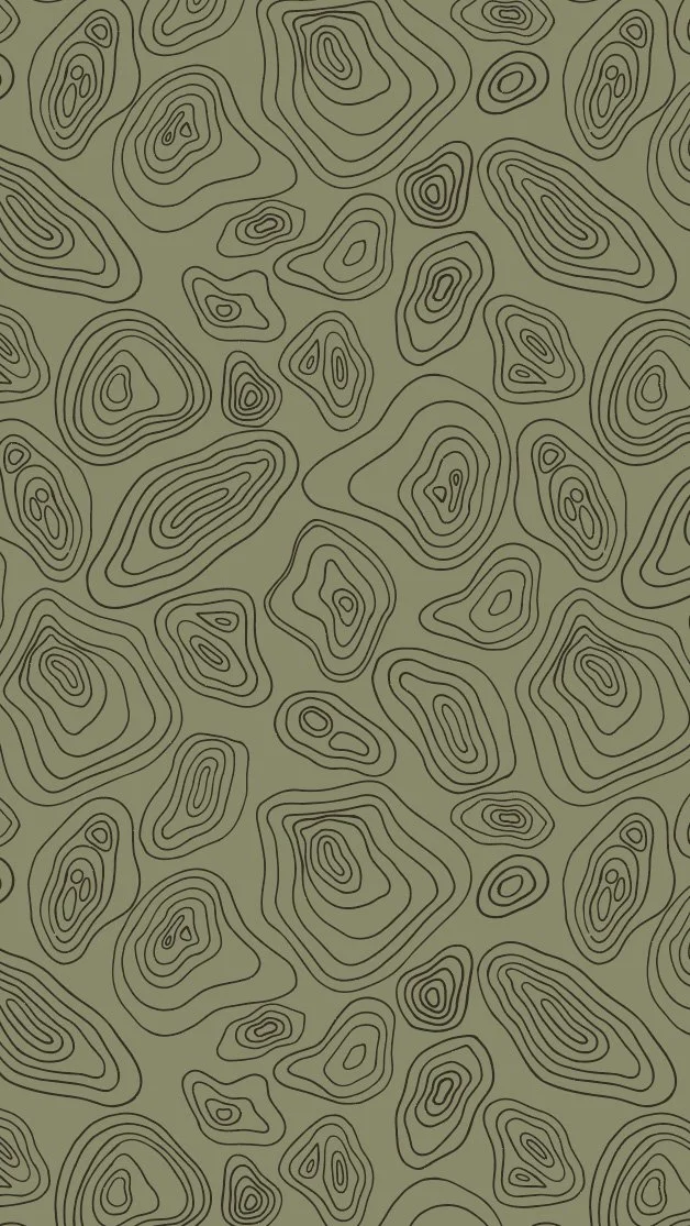 2026-topo-colorway1-jgagnondesigns.jpg