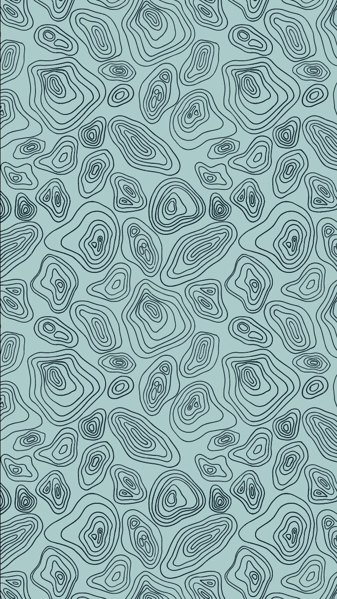 2026-topo-colorway2-jgagnondesigns.jpg
