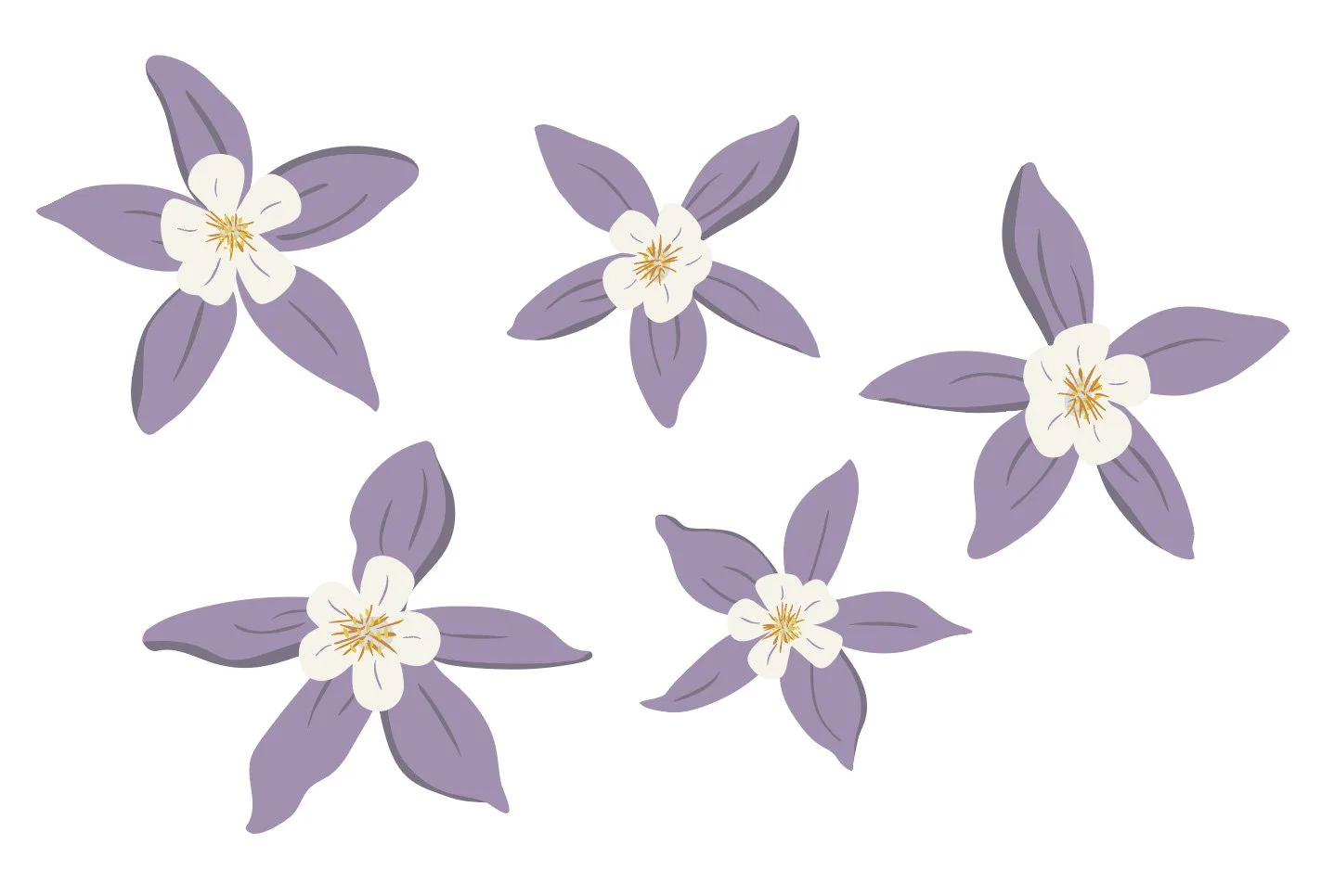 vector Columbine motifs