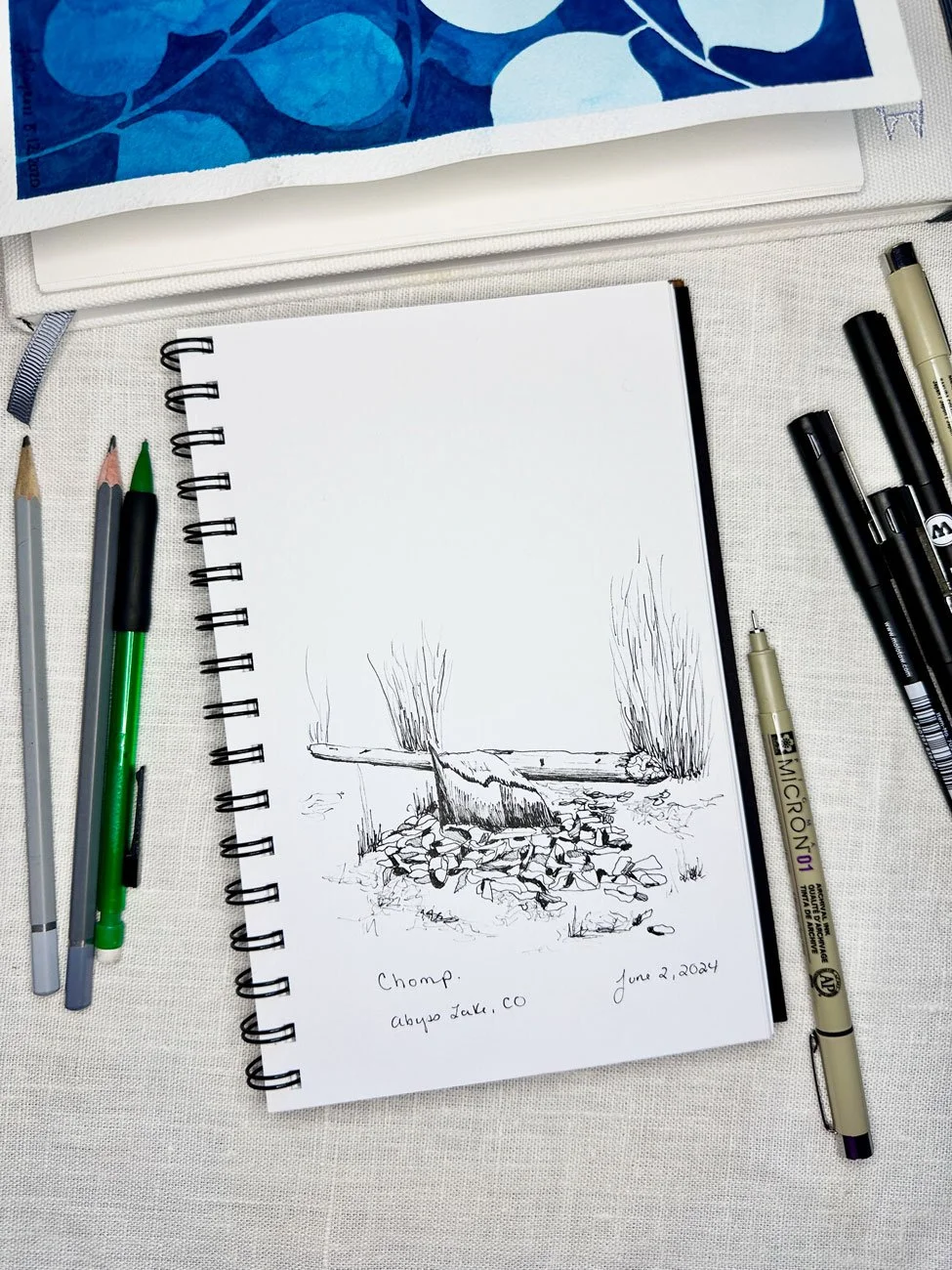 pen drawing of a beaver eaten stump with wood chips around the base