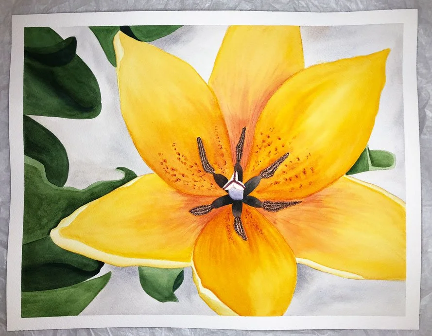 A vibrant yellow-orange flower with green leaves in the background.