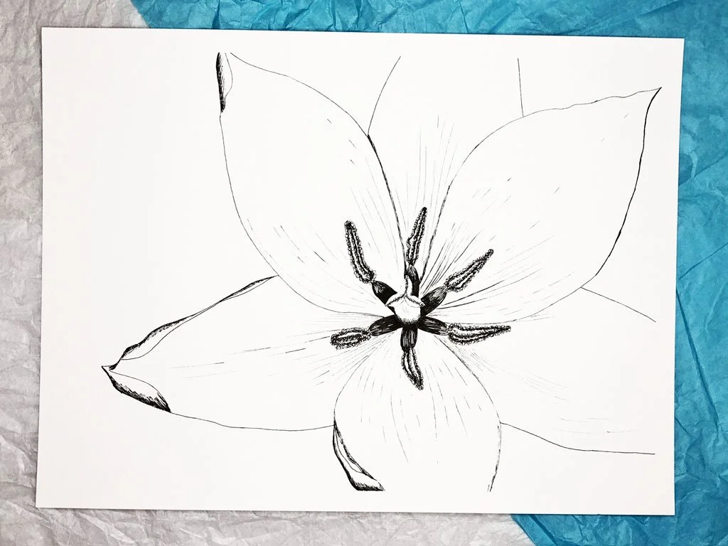black and white pen and ink drawing of the center of a flower