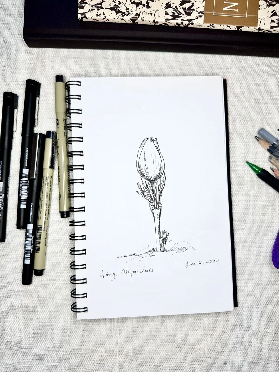 pen drawing of a flower bud coming up through the forest floor