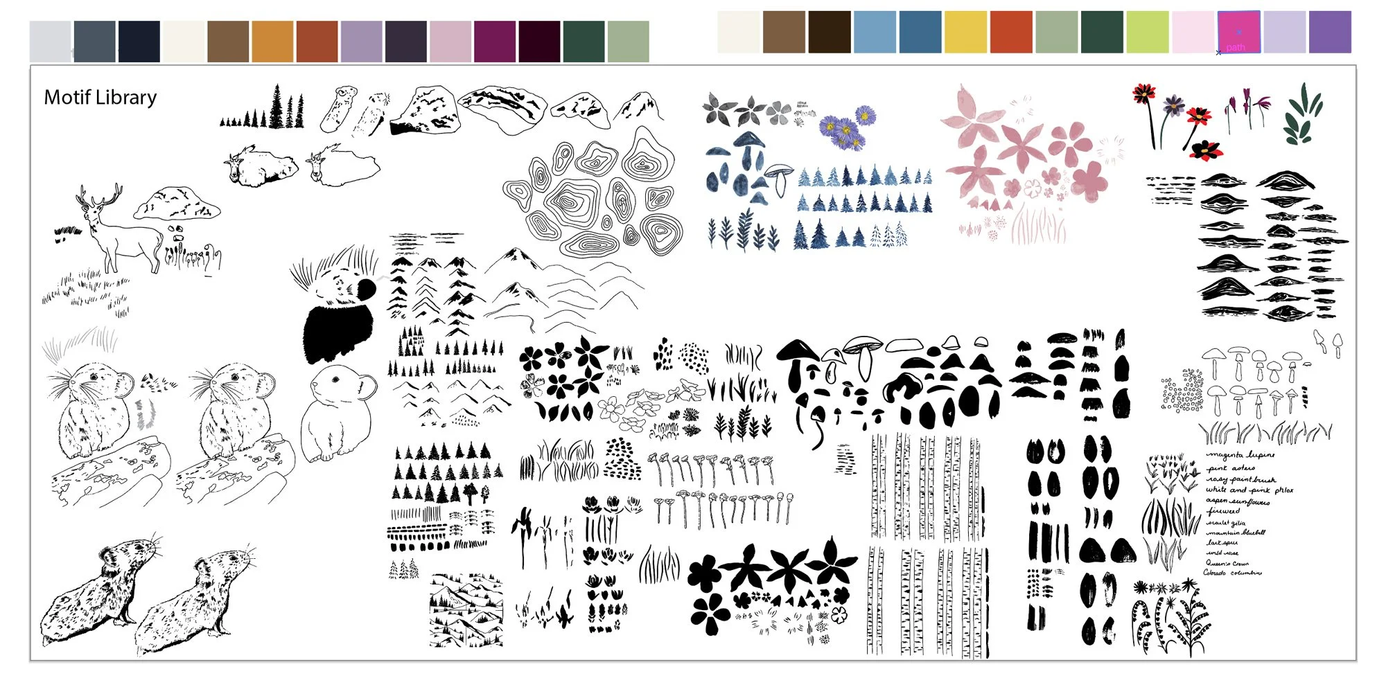 The motif library for my Colorado collection.