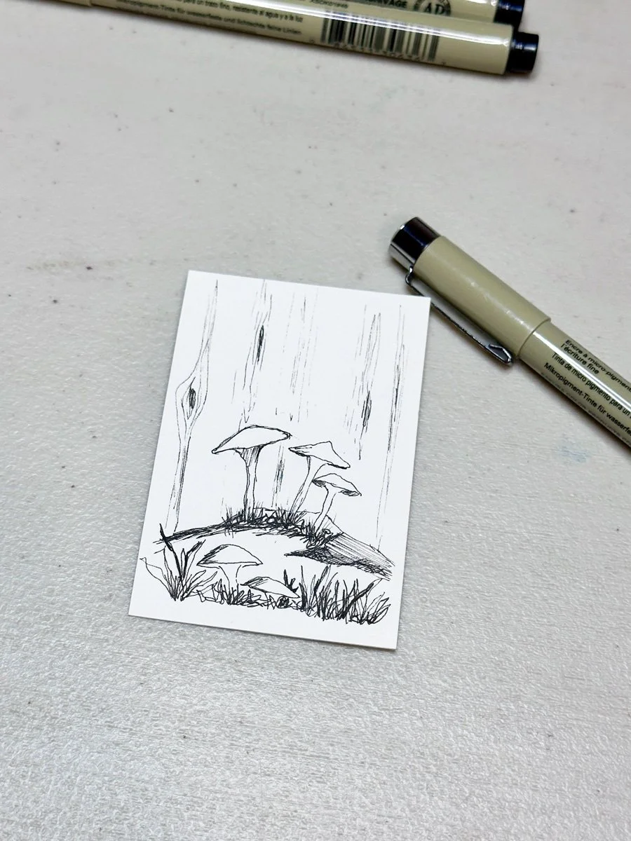 ink drawing of mushrooms on a rock