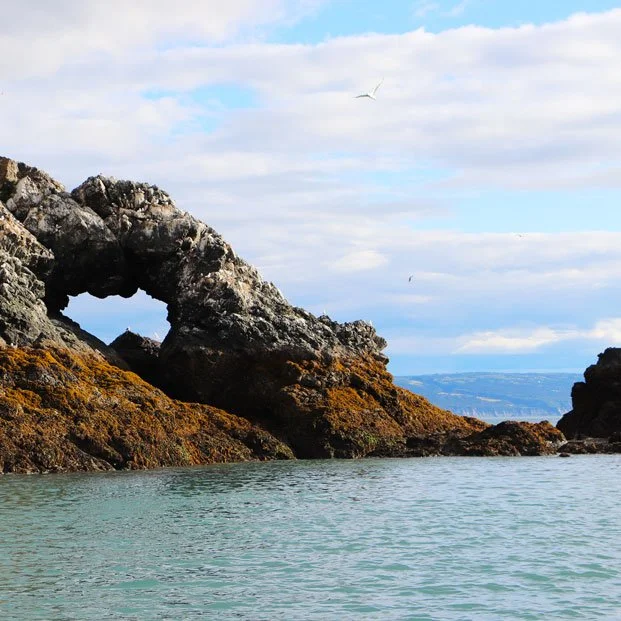 photograph of gull island across from Homer Alaska