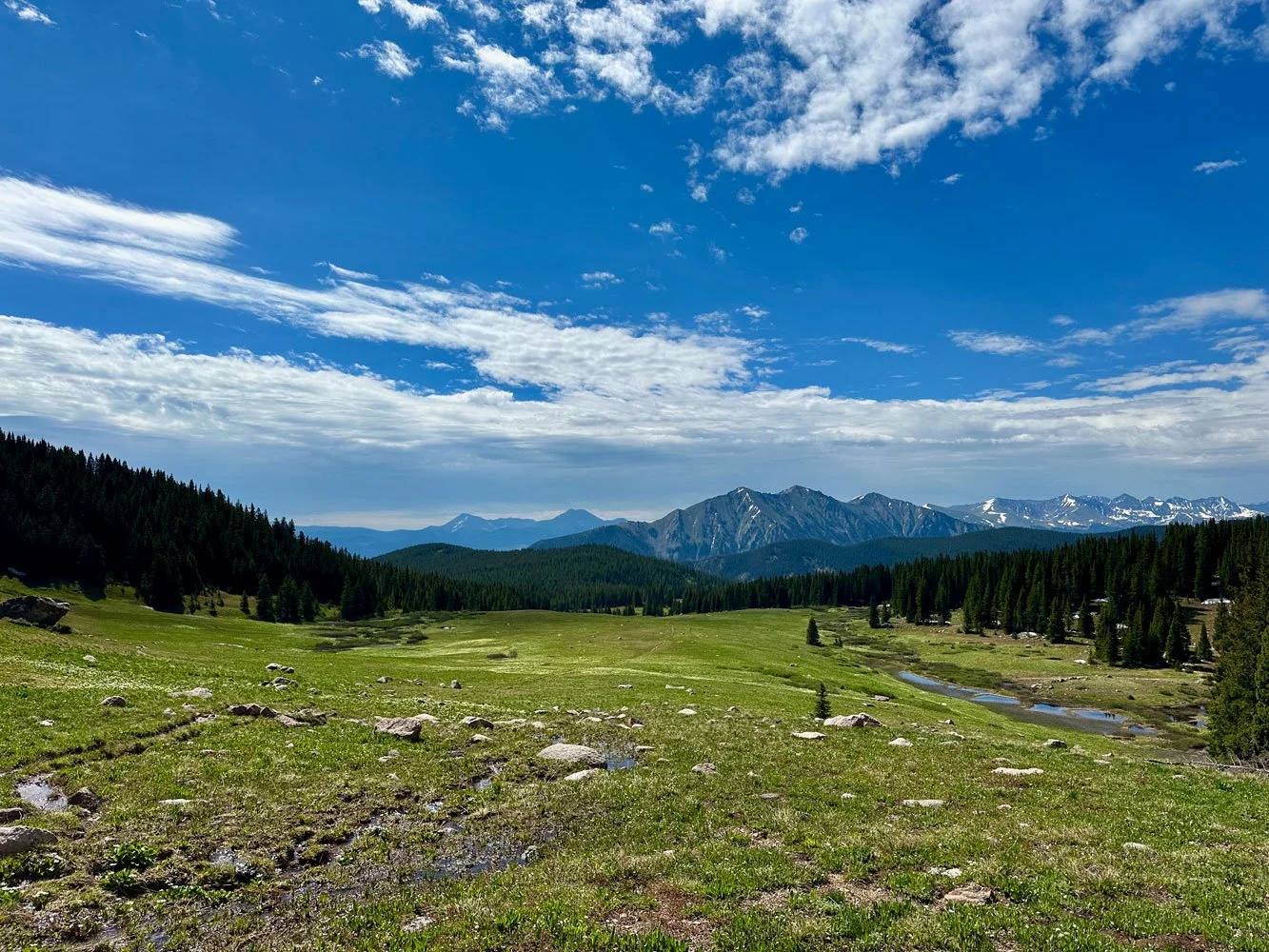 photograph at the top of a mountain pass with a large green valley framed by pine trees and mountains in the background