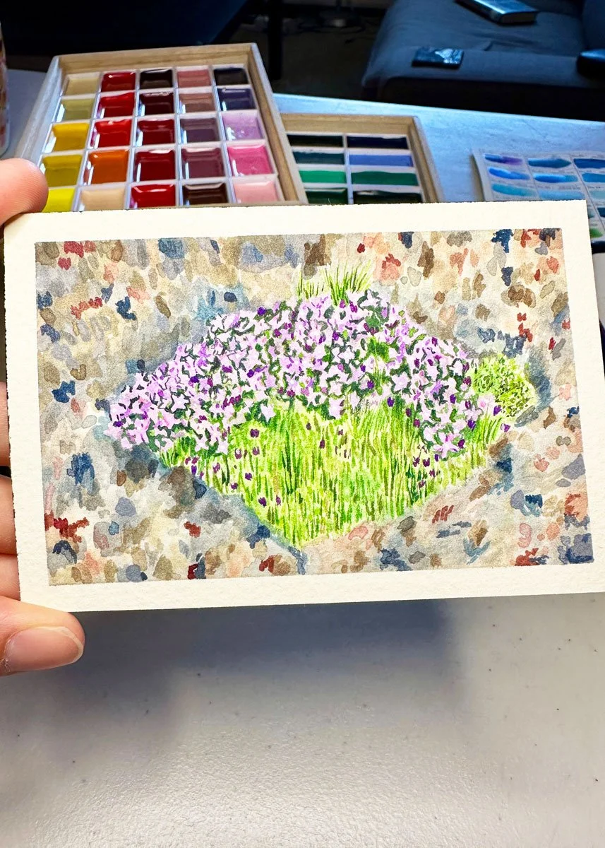 mini watercolor painting of alpine moss campion