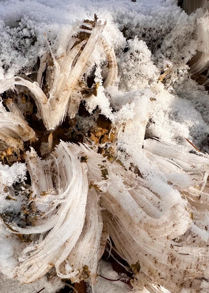 needle ice phenomenon West Virginia