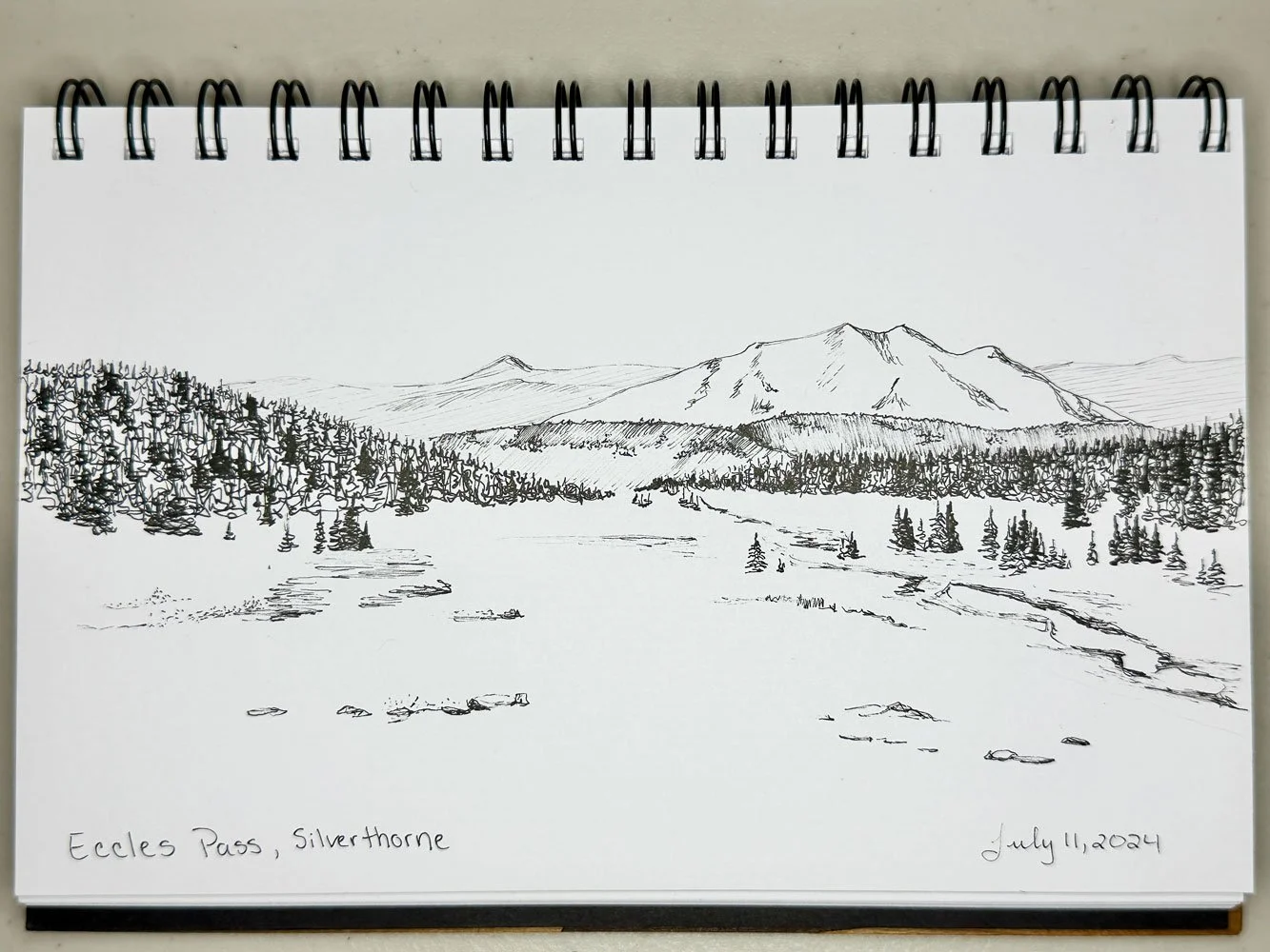 pen drawing of a mountain pass with a large valley surrounded by pine trees and mountains