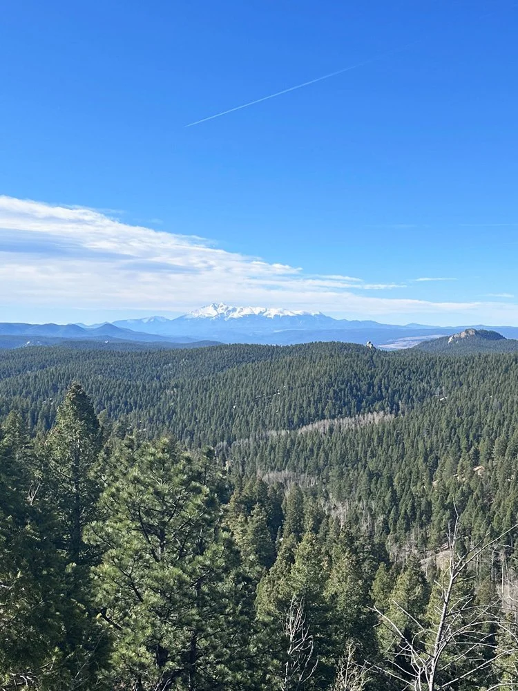 View of a fourteener Pikes Peak with pine trees in the foreground.