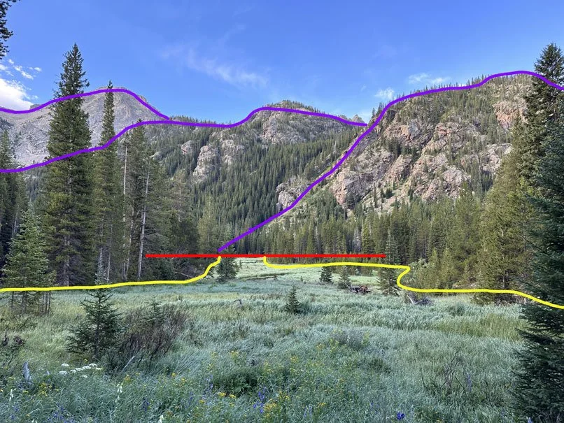 reference photo alpine meadow with colored outlines of main shapes