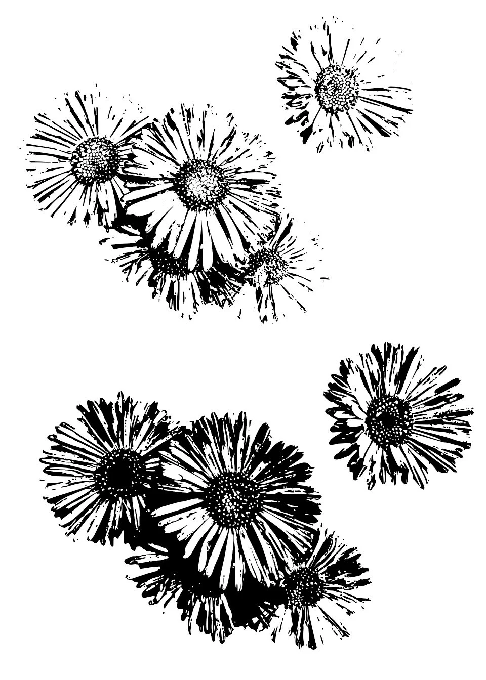 Vectorized image of same clustered flowers.