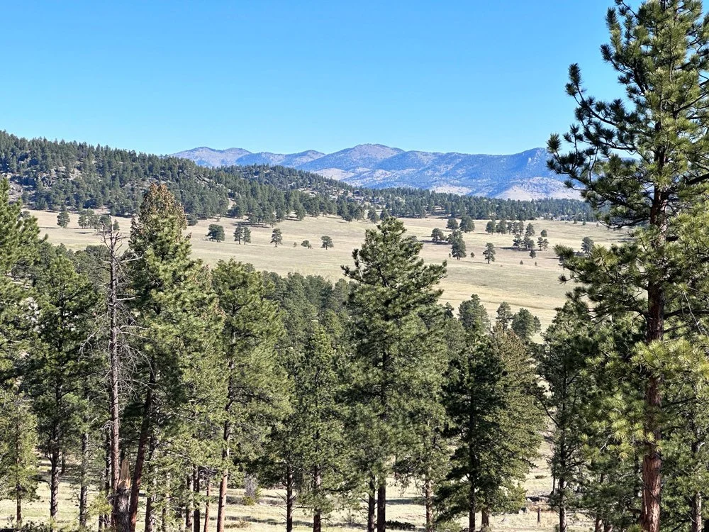 view of a mountain valley with trees.