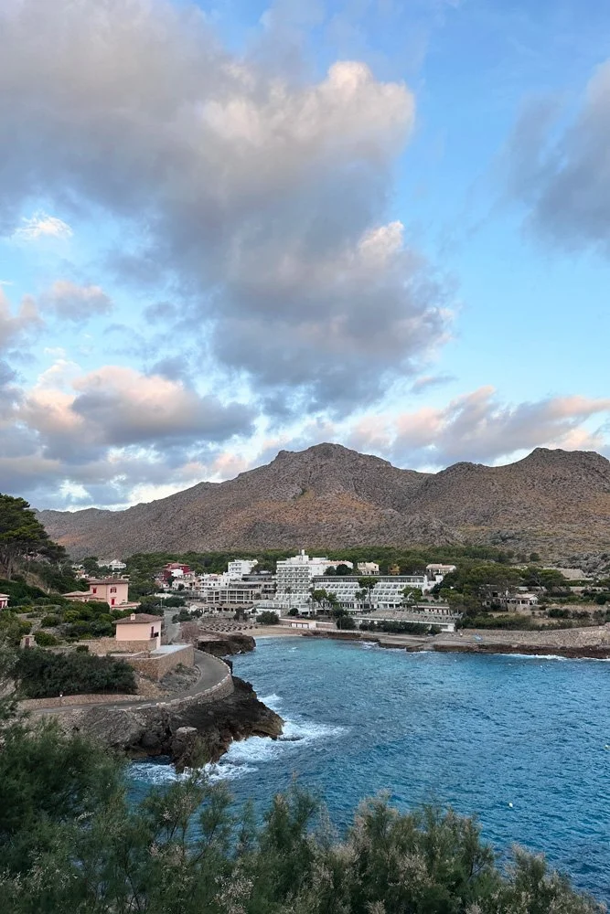 overlook of beach cove