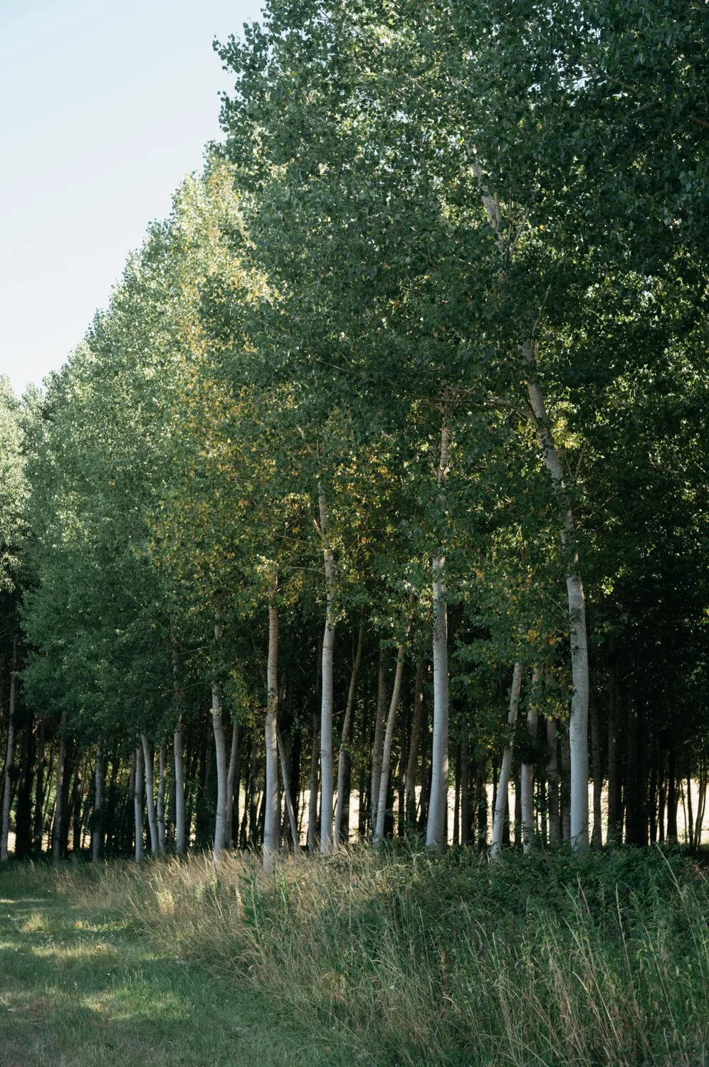 RobWalshMedia(L1001869).jpg