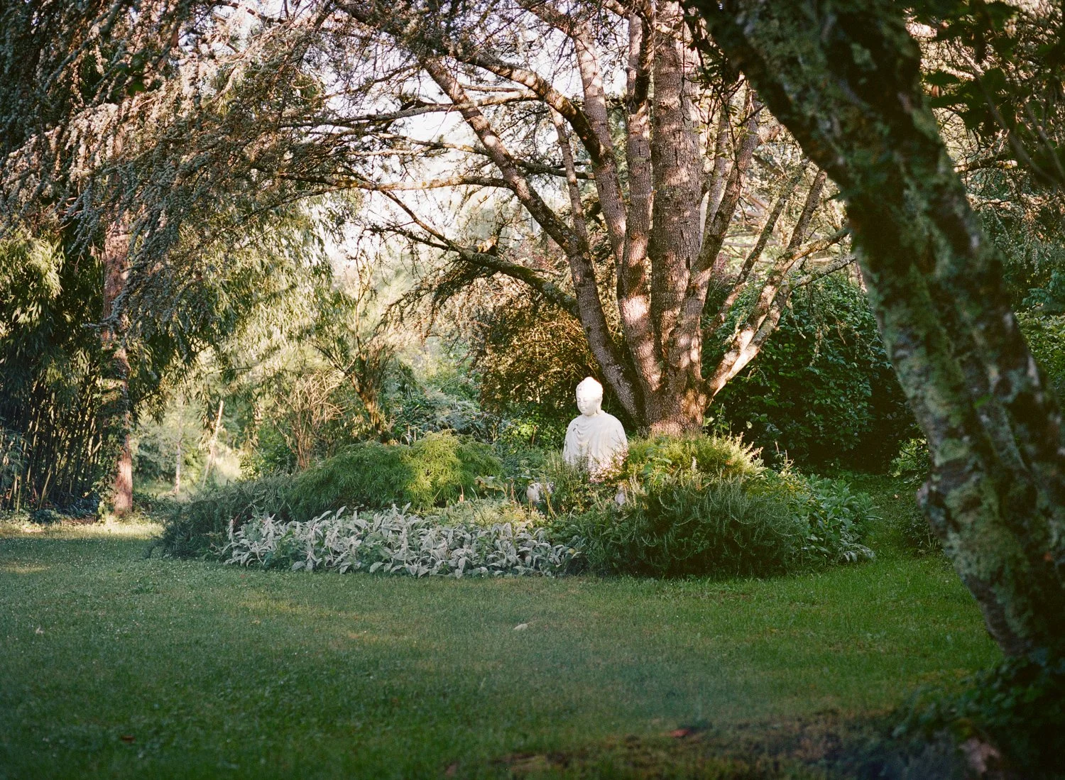 RobWalshMedia(000007550009).jpg