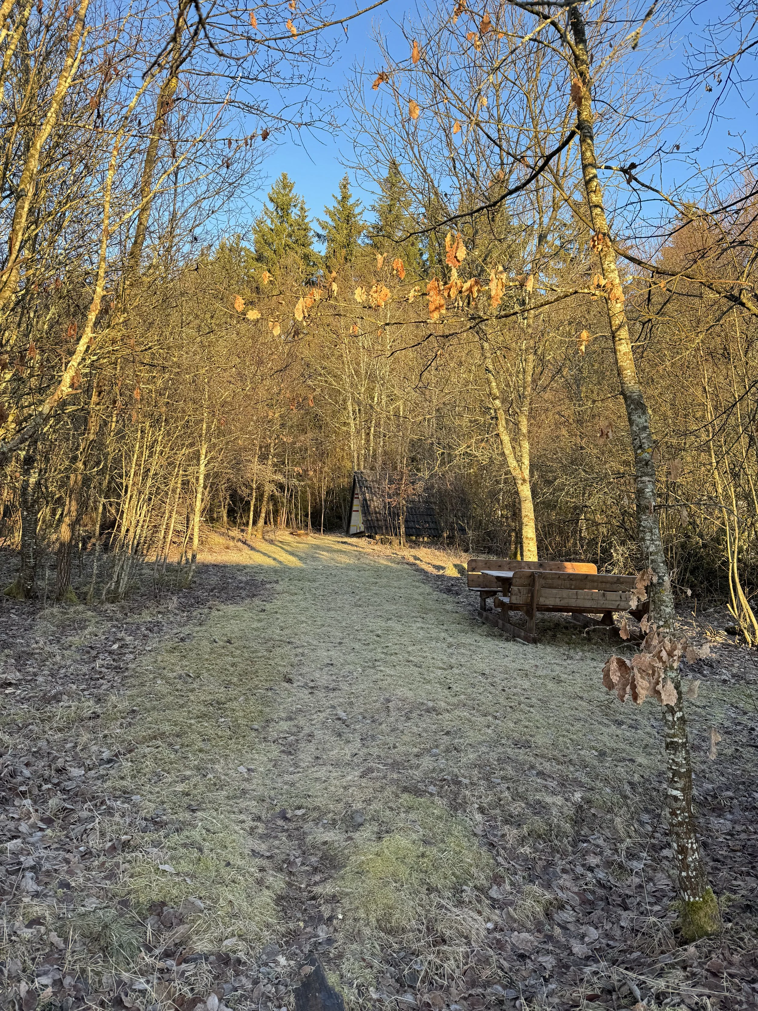 Garten  im Ferienhaus Haus Grossmoos im Hochschwarzwald