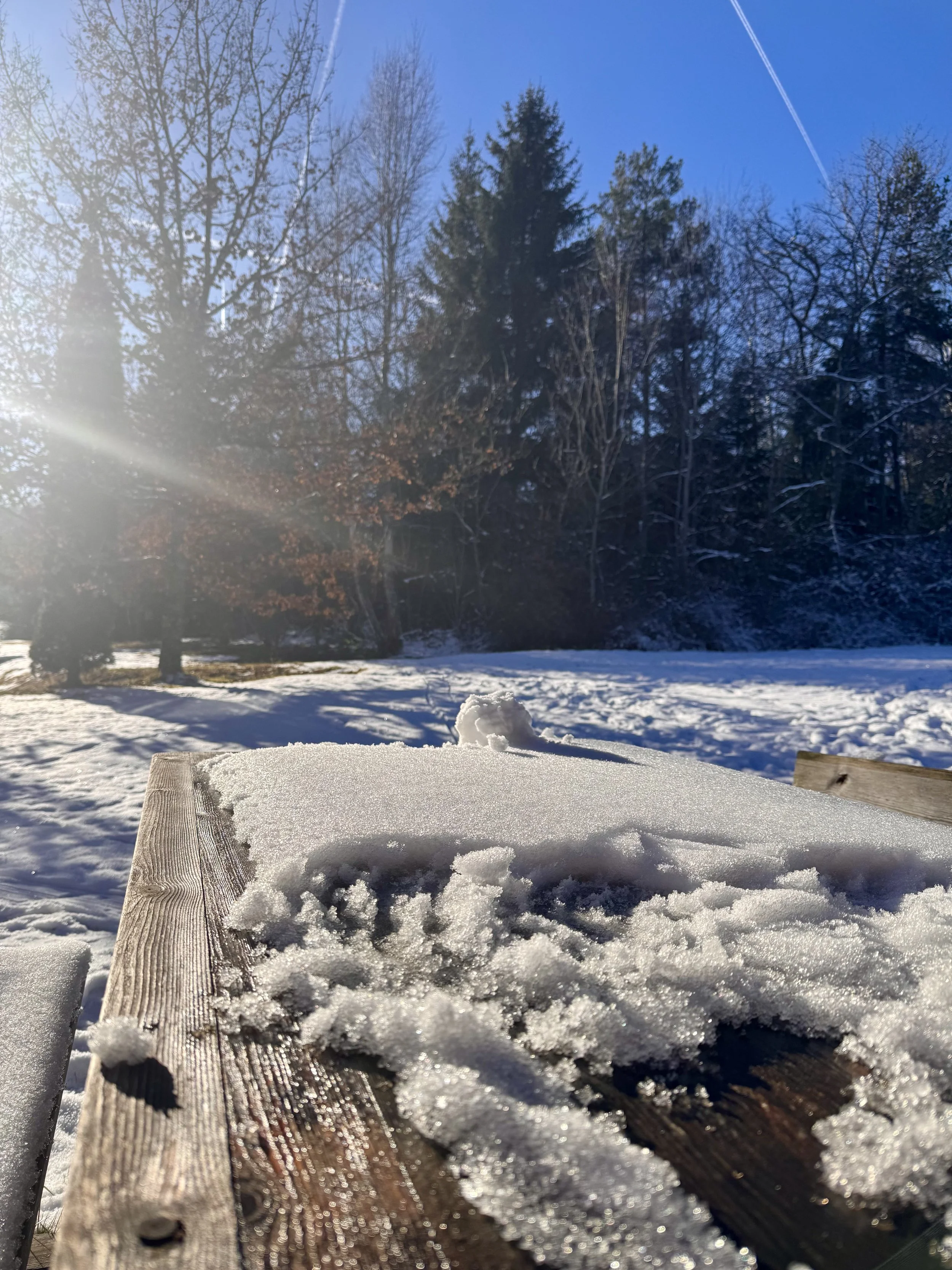 Gartenbank voller Schnee bei Sonnenschein im Ferienhaus Haus Grossmoos im Hochschwarzwald