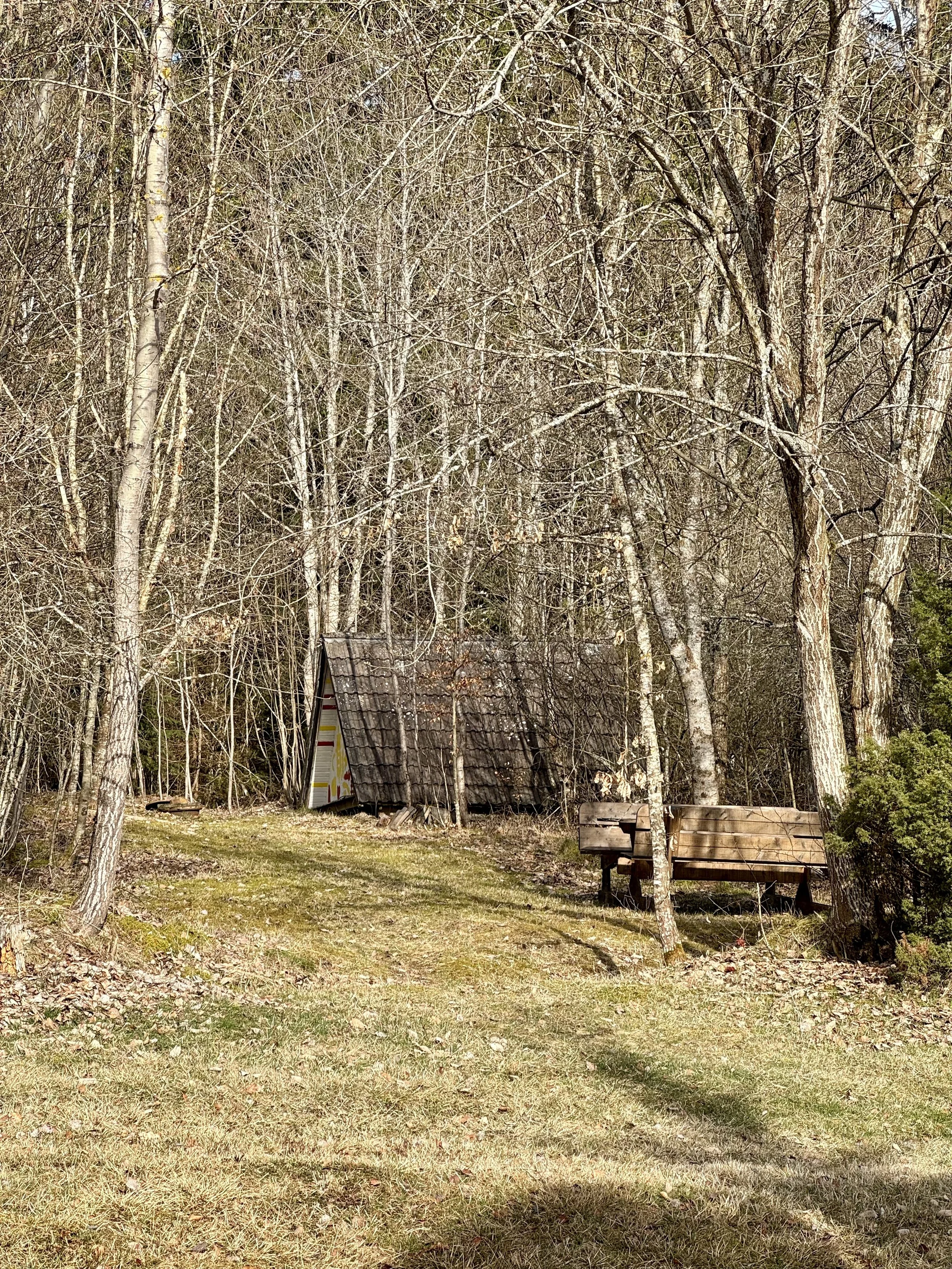 Garten des Ferienhaus Haus Grossmoos im Hochschwarzwald