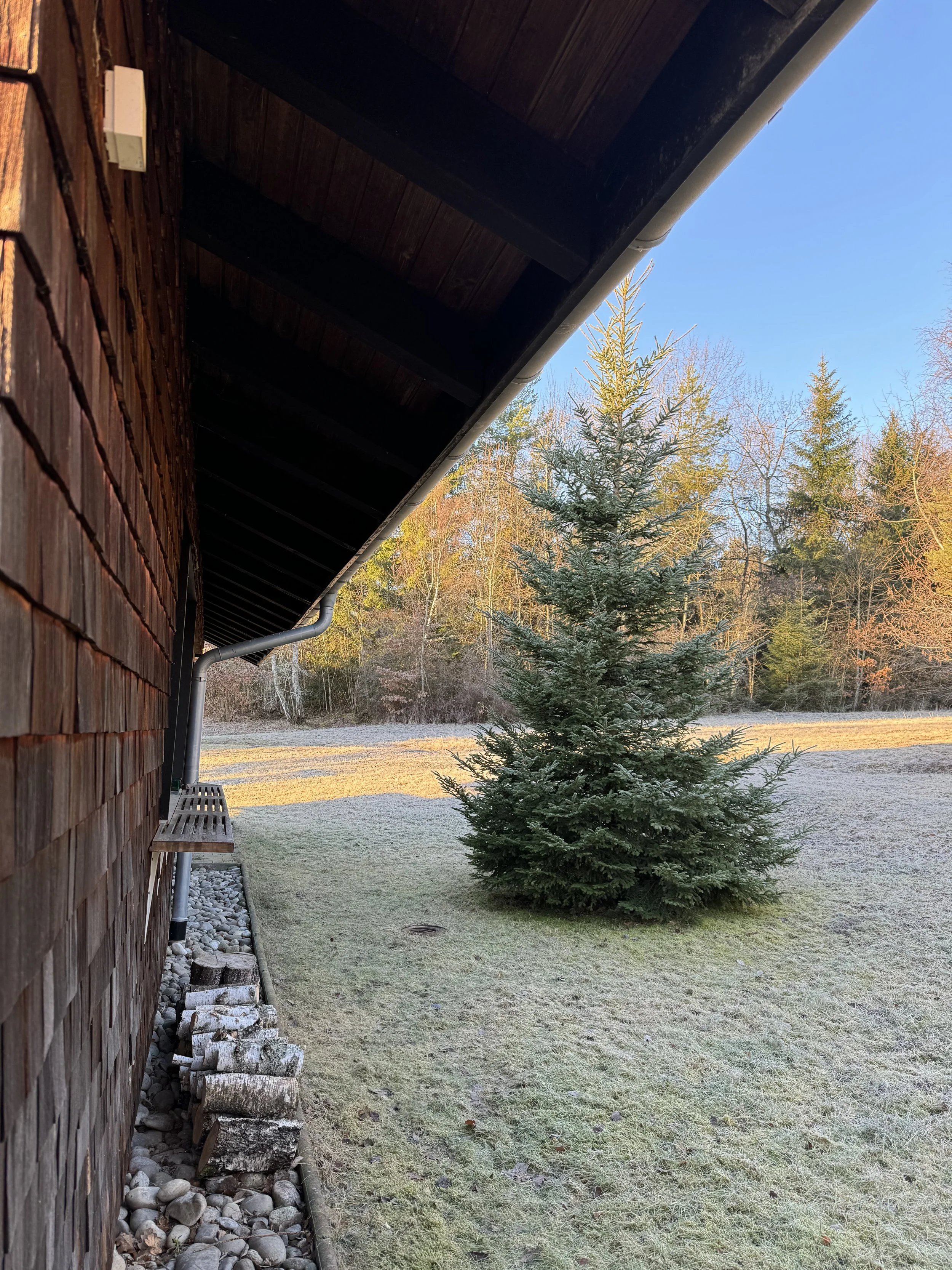 Holzstapel am Ferienhaus Haus Grossmoos im Hochschwarzwald