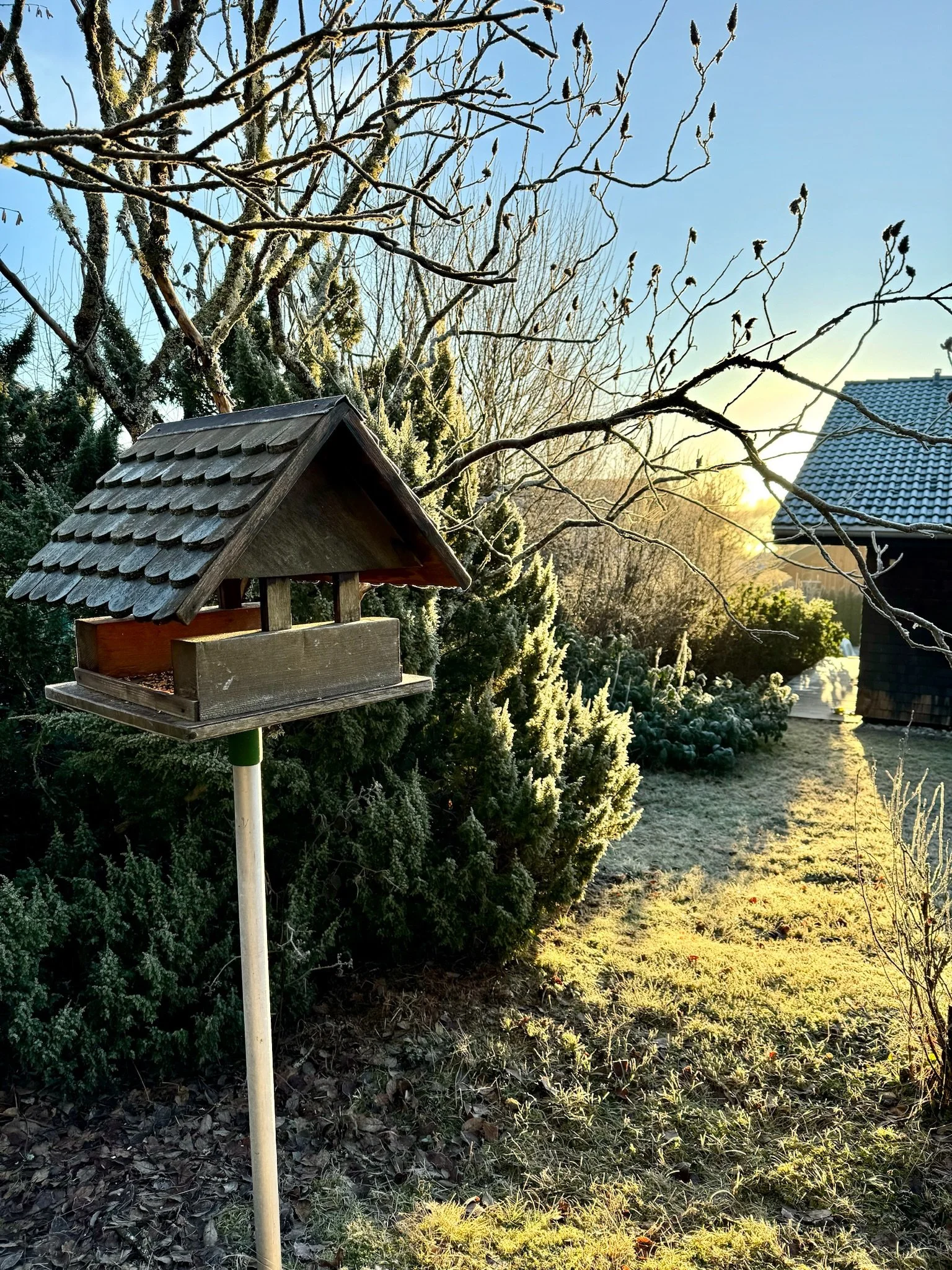 Vogelhaus im Garten des Ferienhaus Haus Grossmoos im Hochschwarzwald