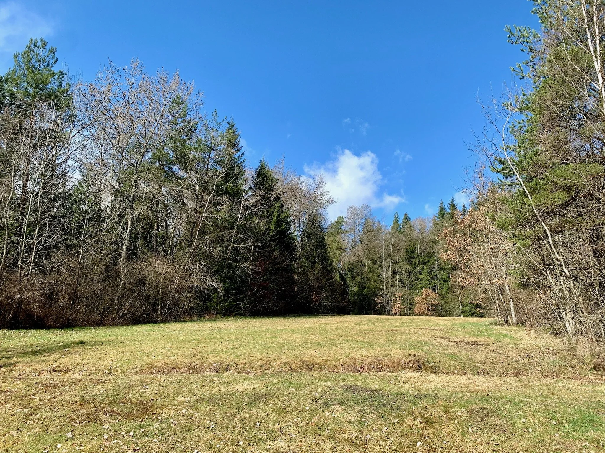 Blick von der Terrasse des Ferienhaus Haus Grossmoos im Hochschwarzwald