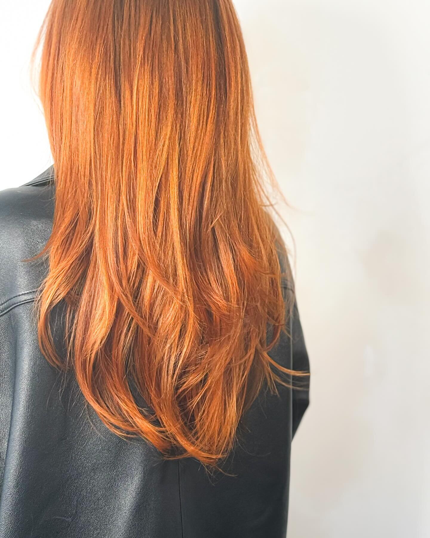 One drop dead red! Red hair is not just for fall, we tend to go a bit warmer in the fall/winter  and a bit cooler in the spring/summer but a magical copper is year round beautiful. 

This copper red and cut by @col.ourmein.kindness for @houseofpop us