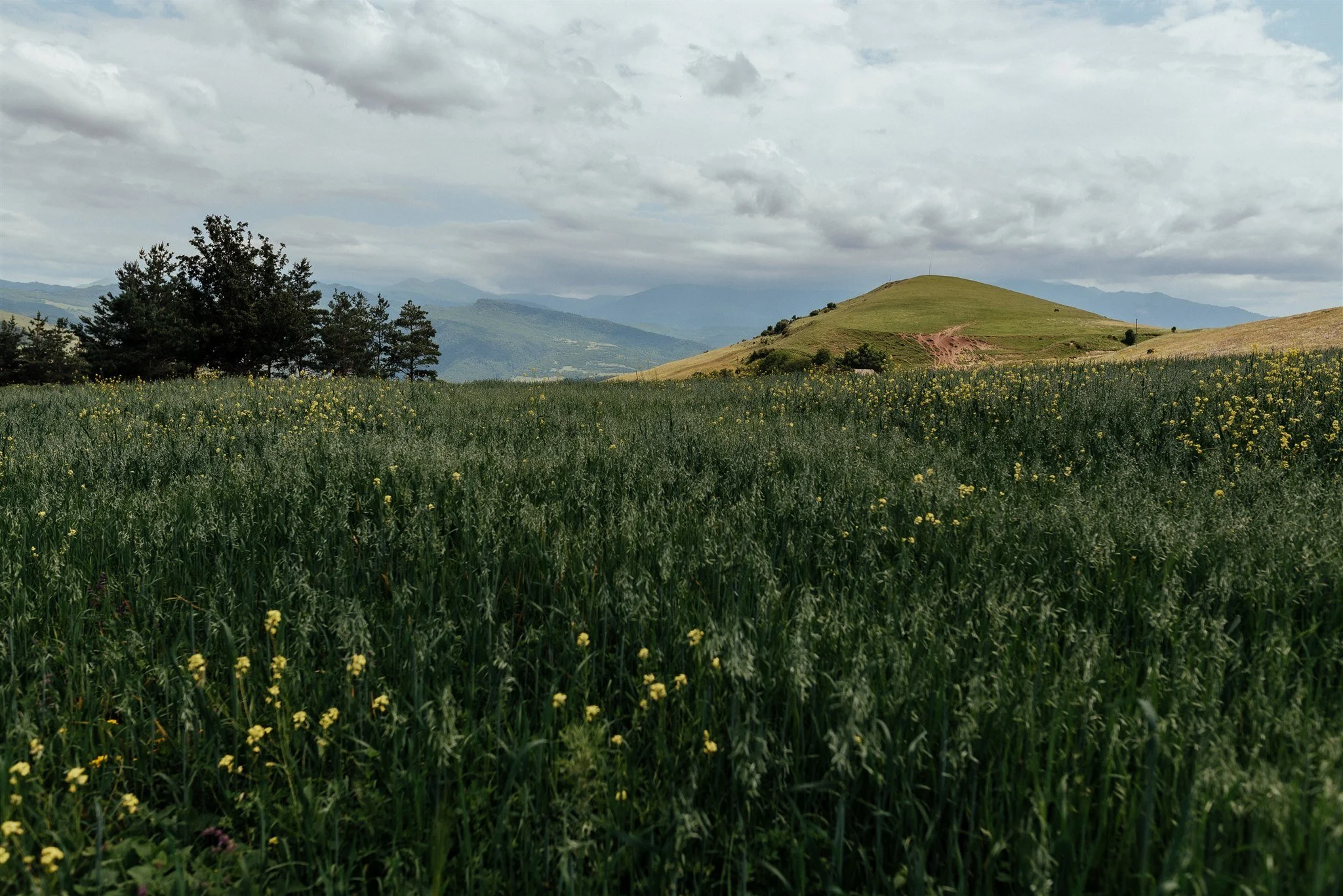 220701_22-06-24_Birthright Armenia_CSP_Dzoragiugh School-186.jpg