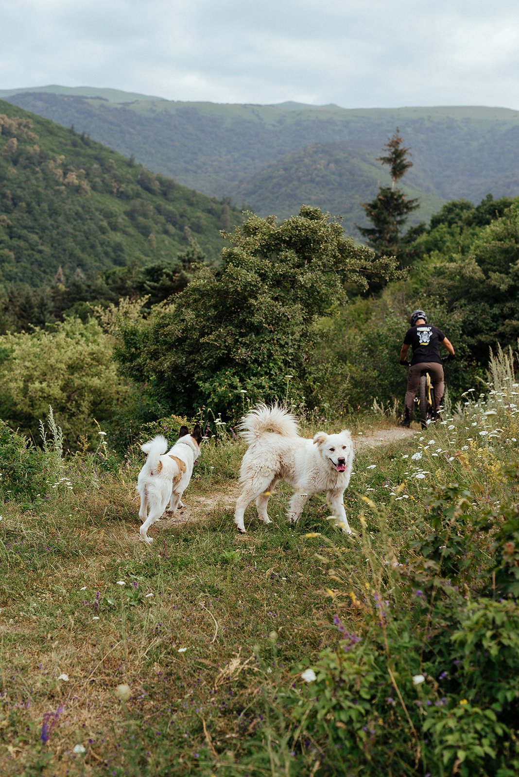 220713_22-07-13_BOO Mountain Bike Park_Vanadzor_ Armenia-70.jpg