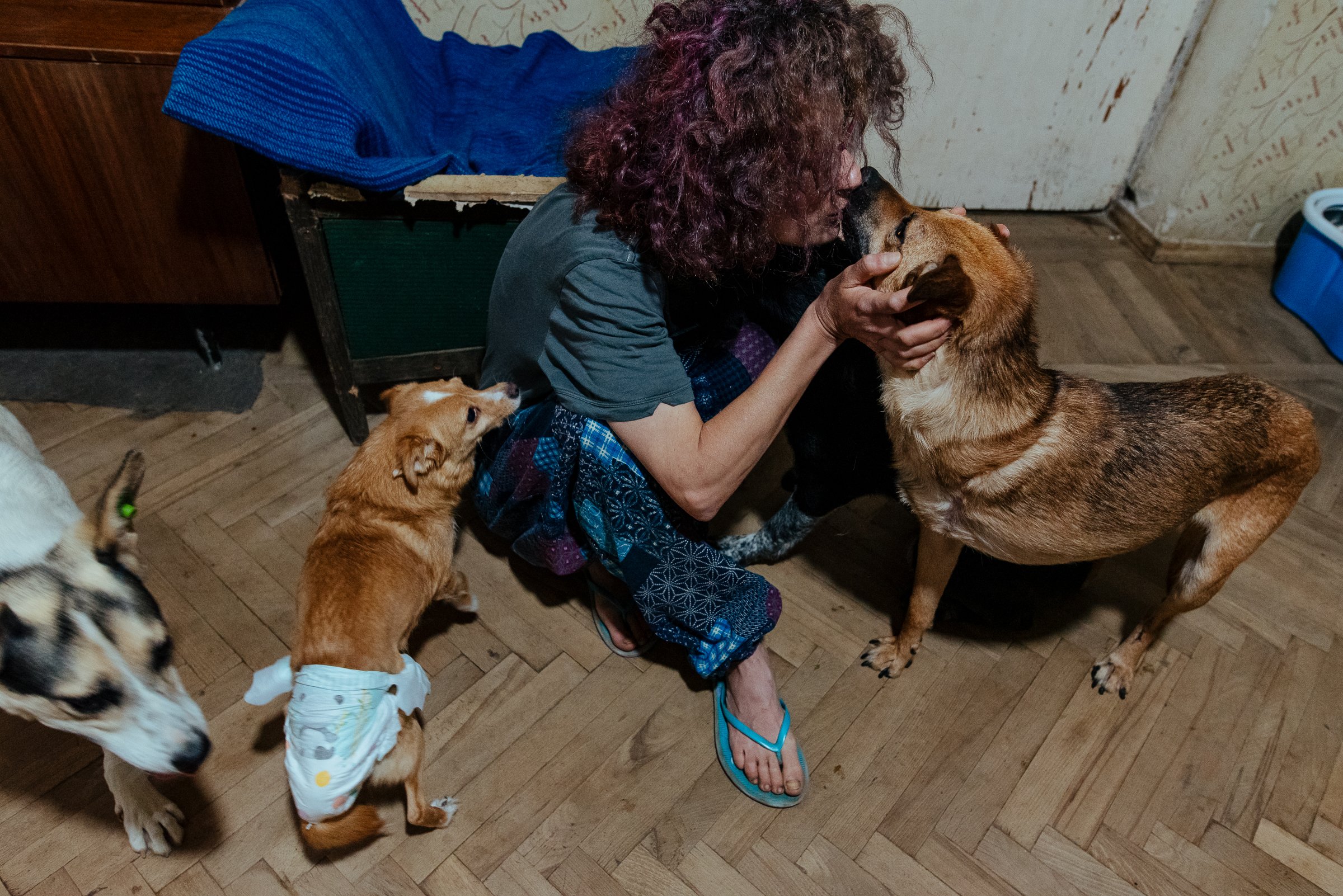 22-07-26_Armine_Home Animal Shelter_Vanadzor, Armenia-14.jpg