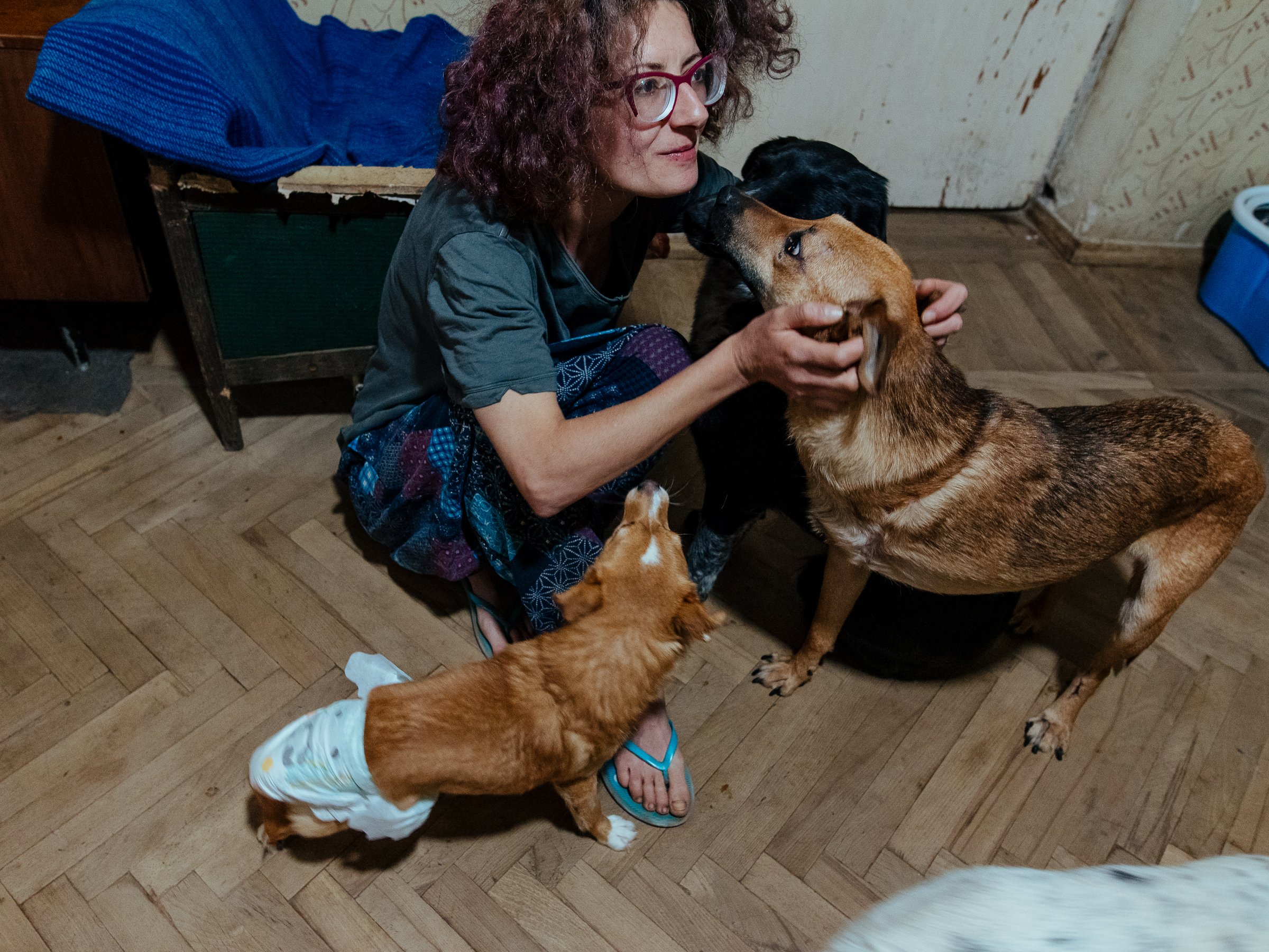 22-07-26_Armine_Home Animal Shelter_Vanadzor, Armenia-15.jpg