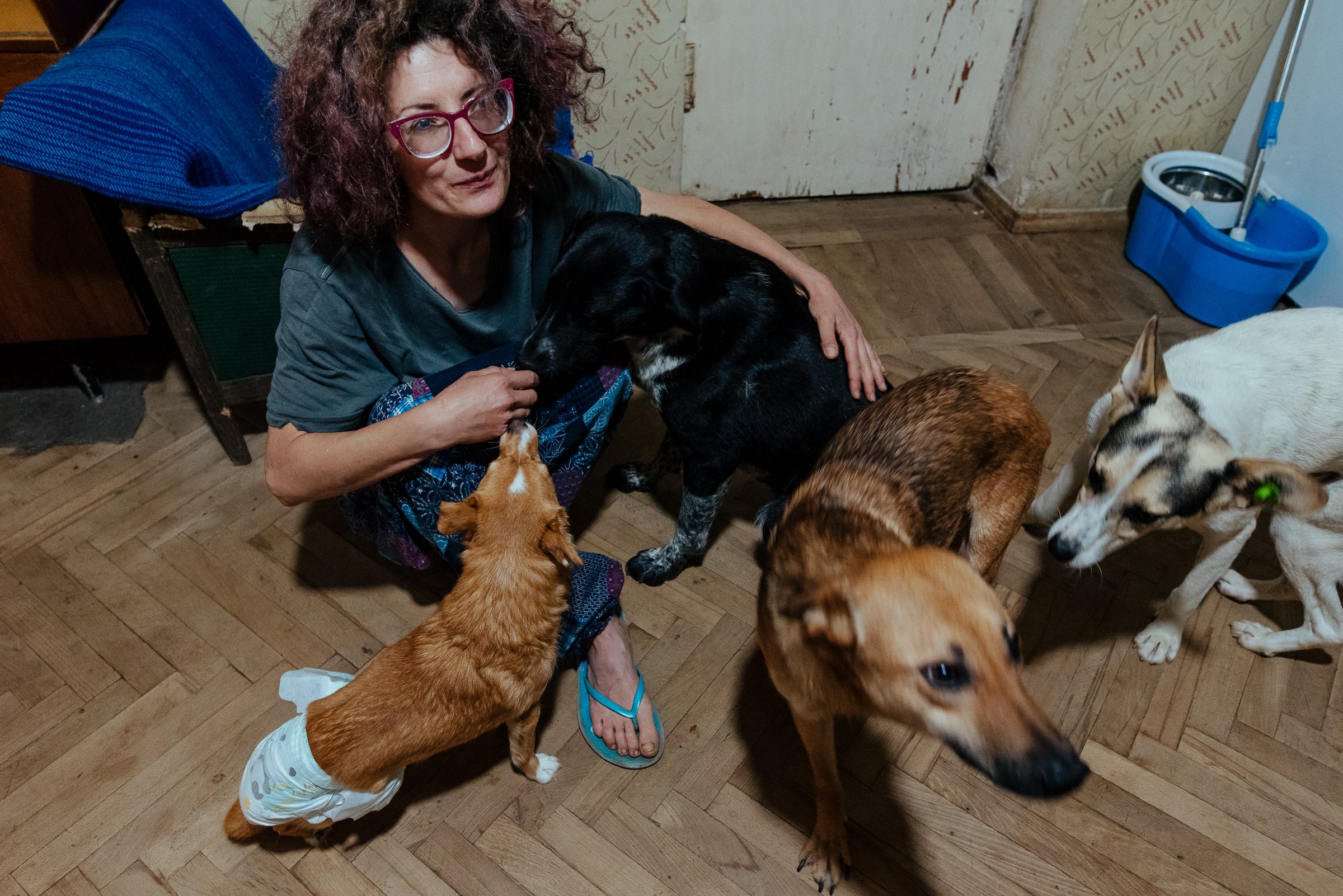 22-07-26_Armine_Home Animal Shelter_Vanadzor, Armenia-17.jpg