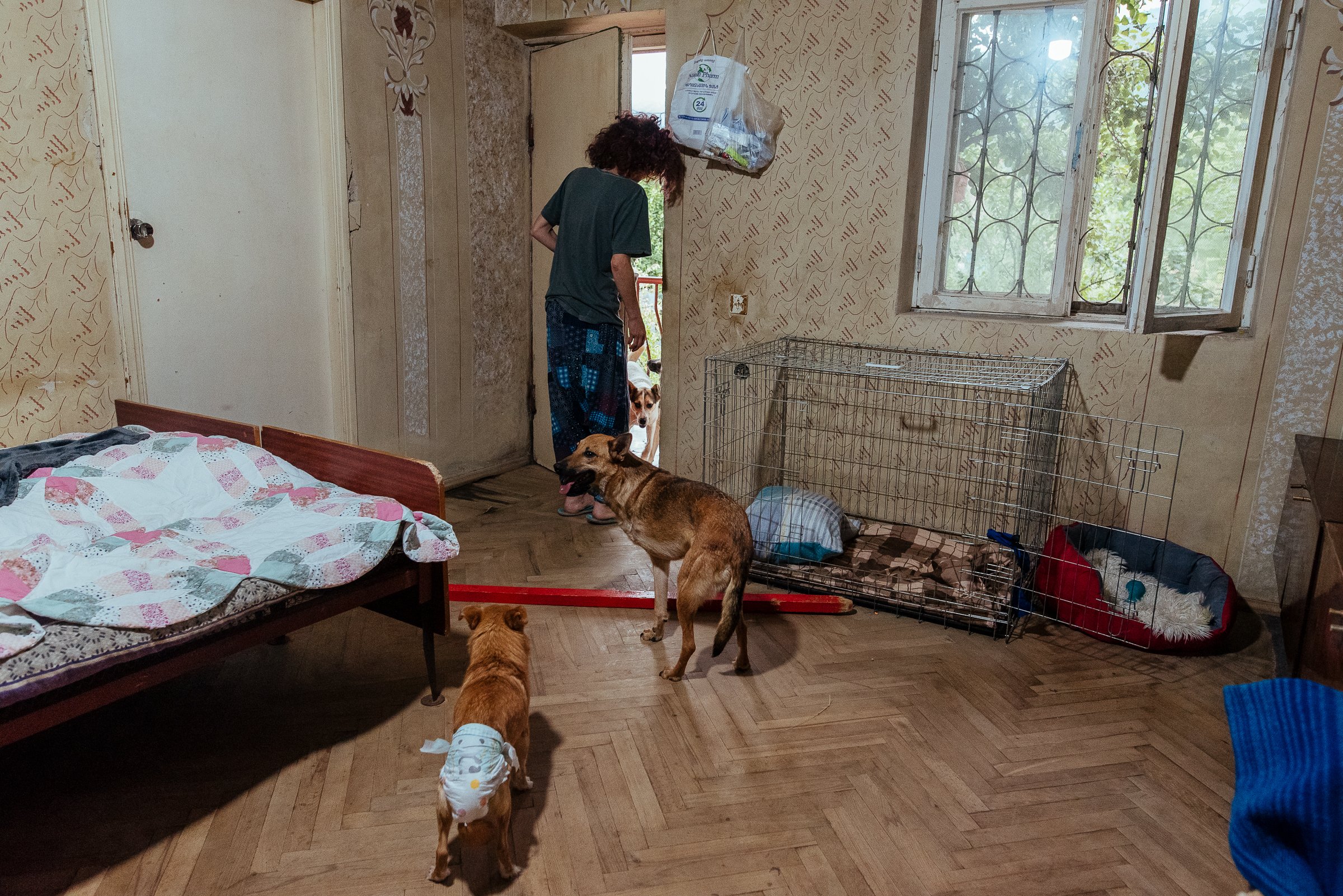 22-07-26_Armine_Home Animal Shelter_Vanadzor, Armenia-22.jpg