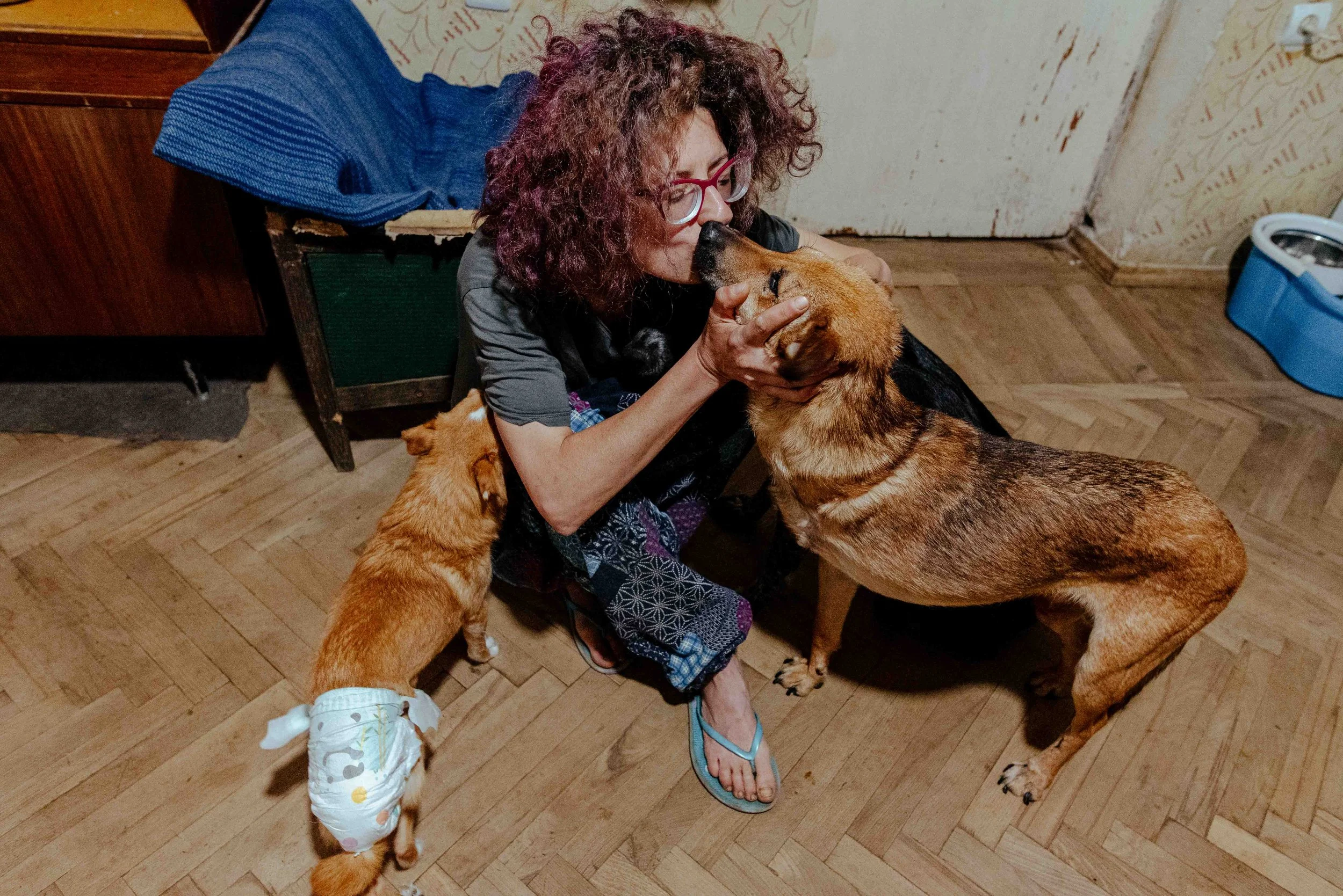 22-07-26_Pina_Animal Rescue_Vanadzor, Armenia-7.jpg