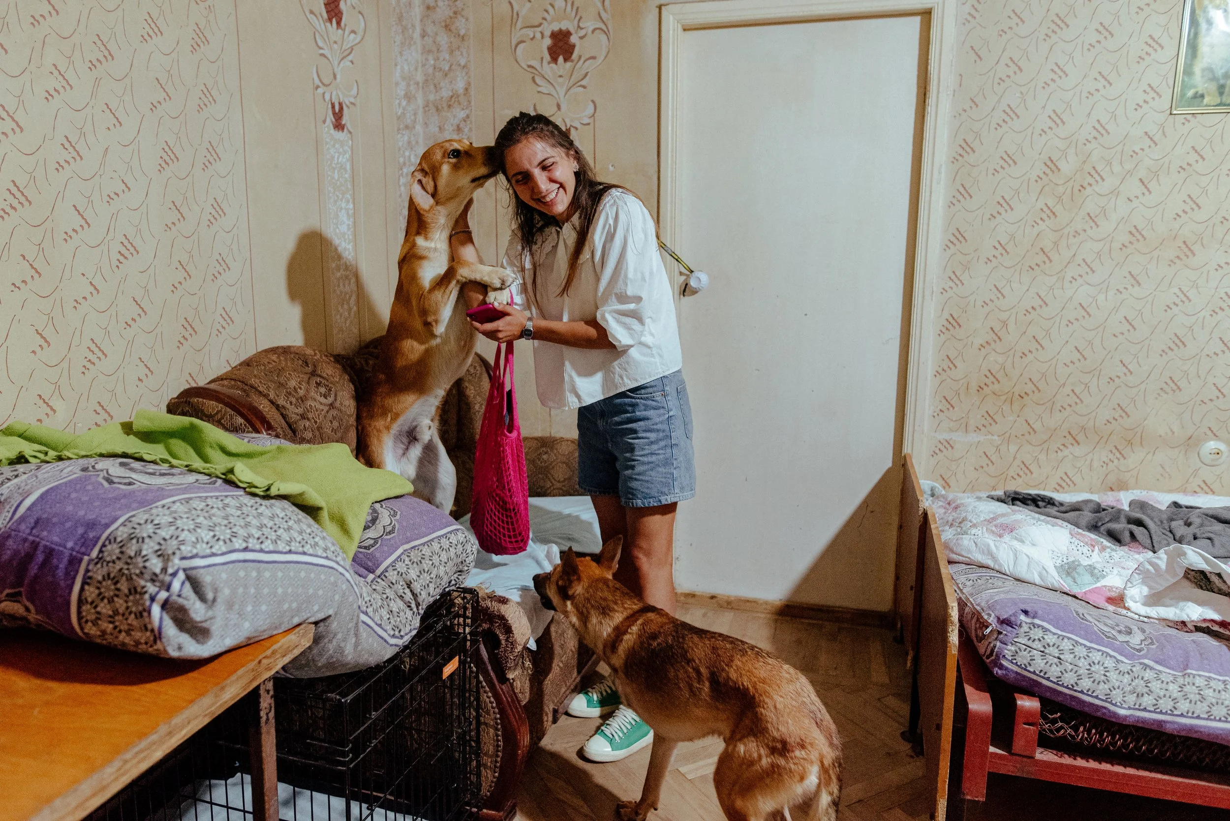 22-07-26_Pina_Animal Rescue_Vanadzor, Armenia-8.jpg