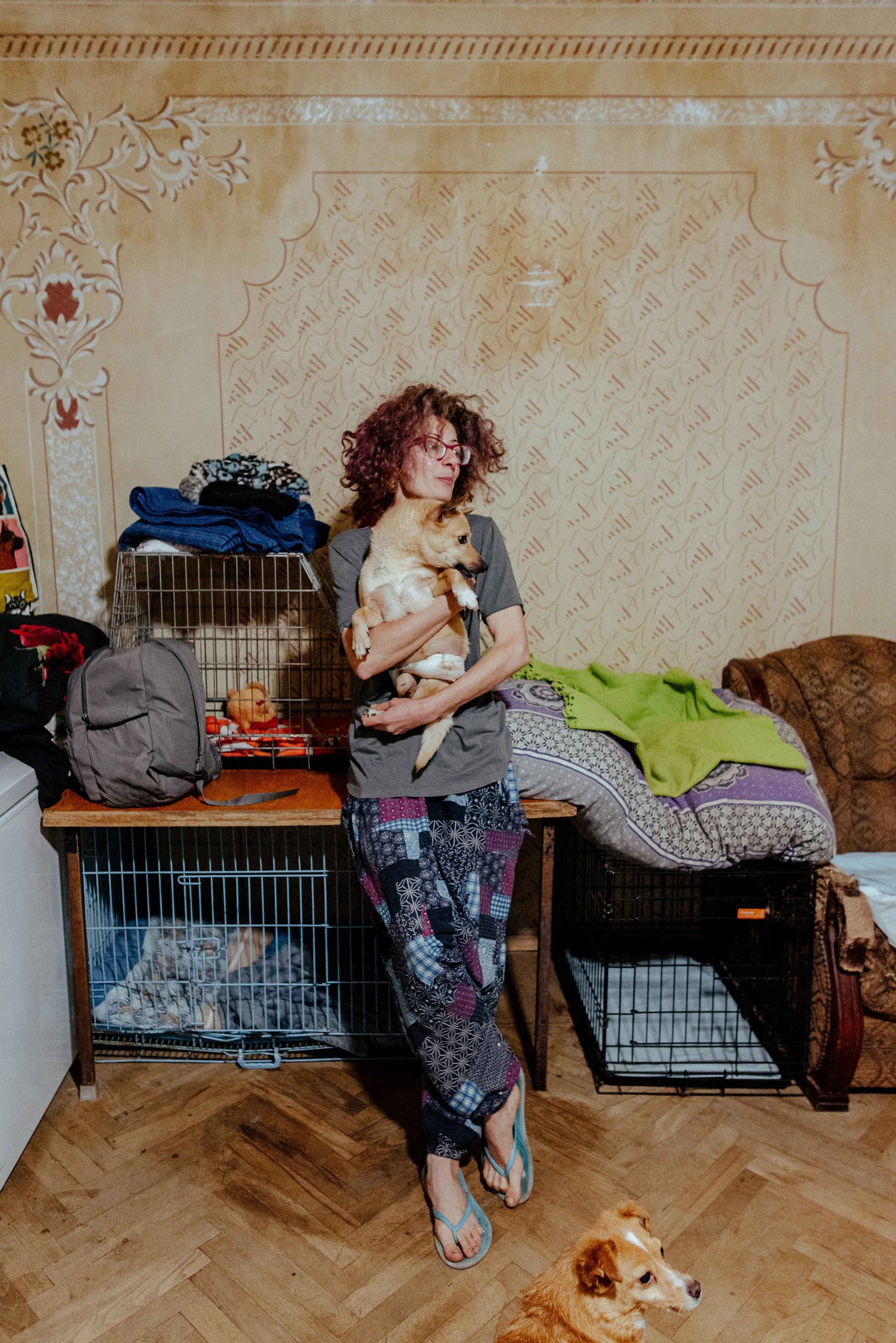 22-07-26_Pina_Animal Rescue_Vanadzor, Armenia-9.jpg