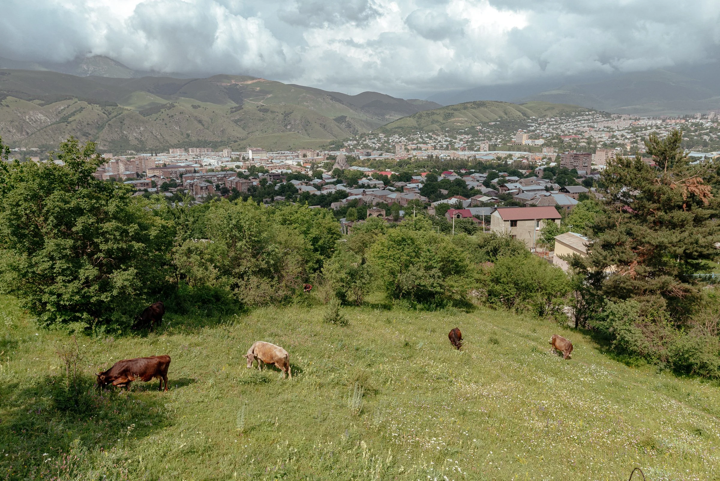 22-07-27_Boo Mountain Bike Park_Vanadzor, Armenia-7995.jpg
