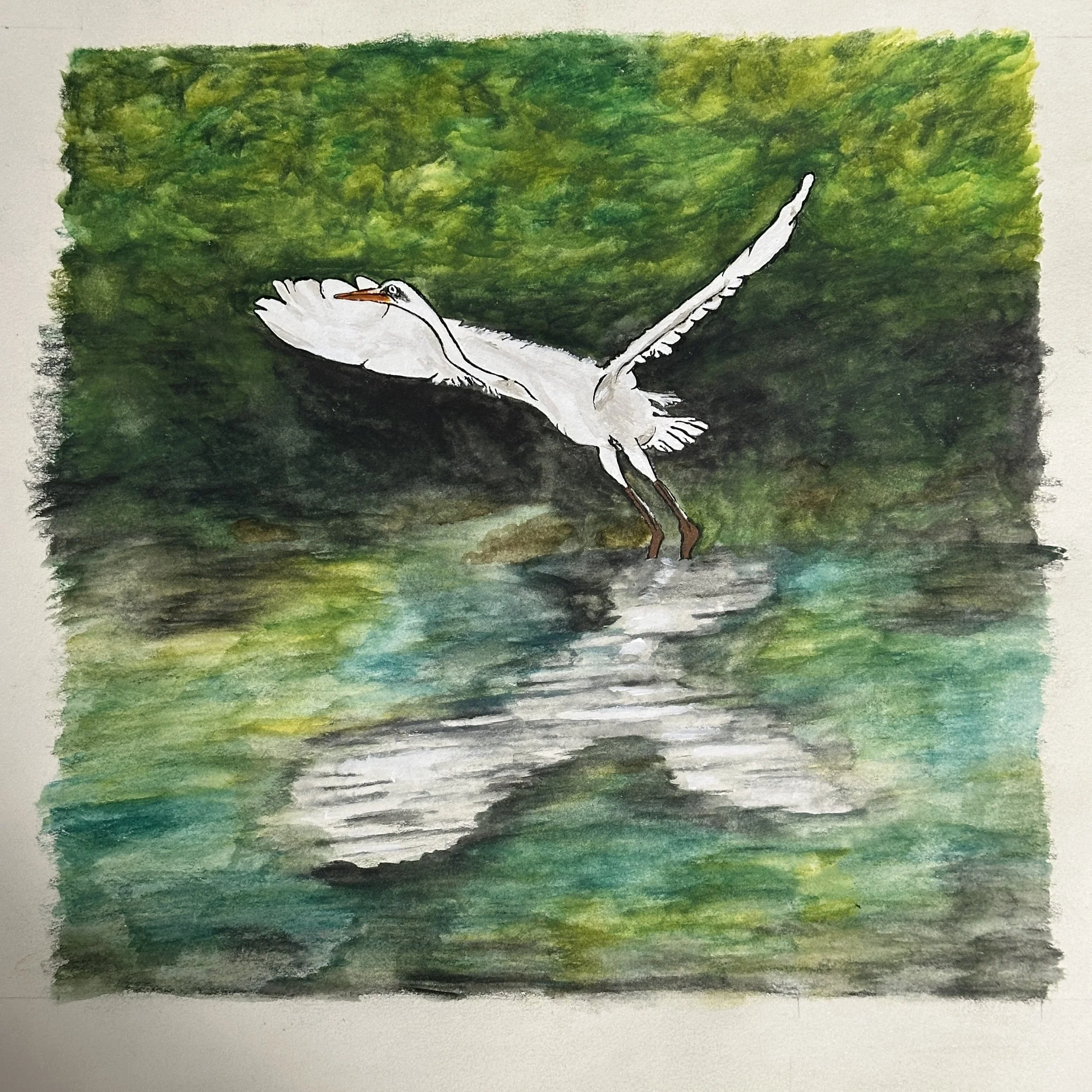 Grace in Flight
Paul Gruhn    [ Website ] 