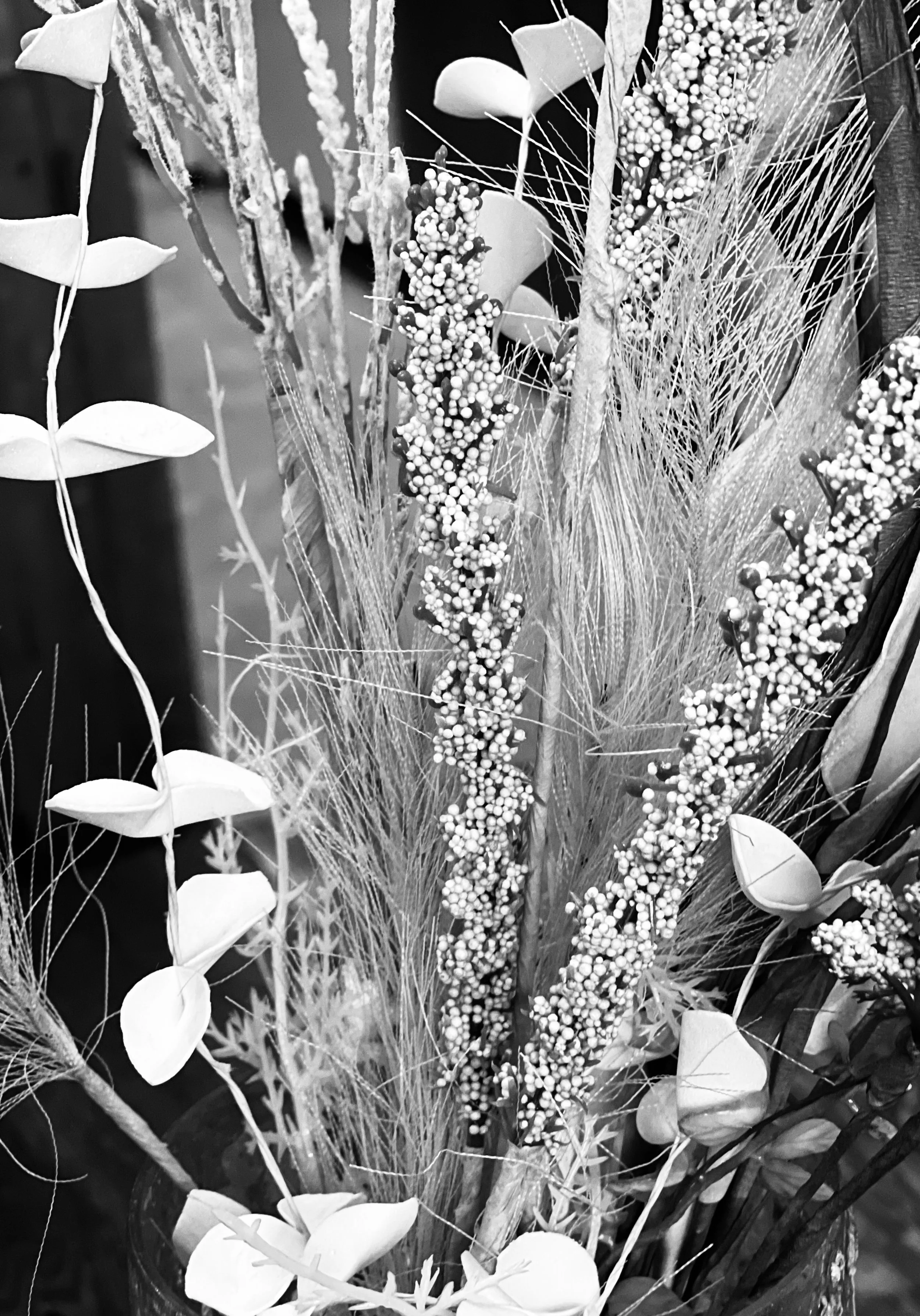 Abstract Flowers
John L. Raye   [ Website ] 