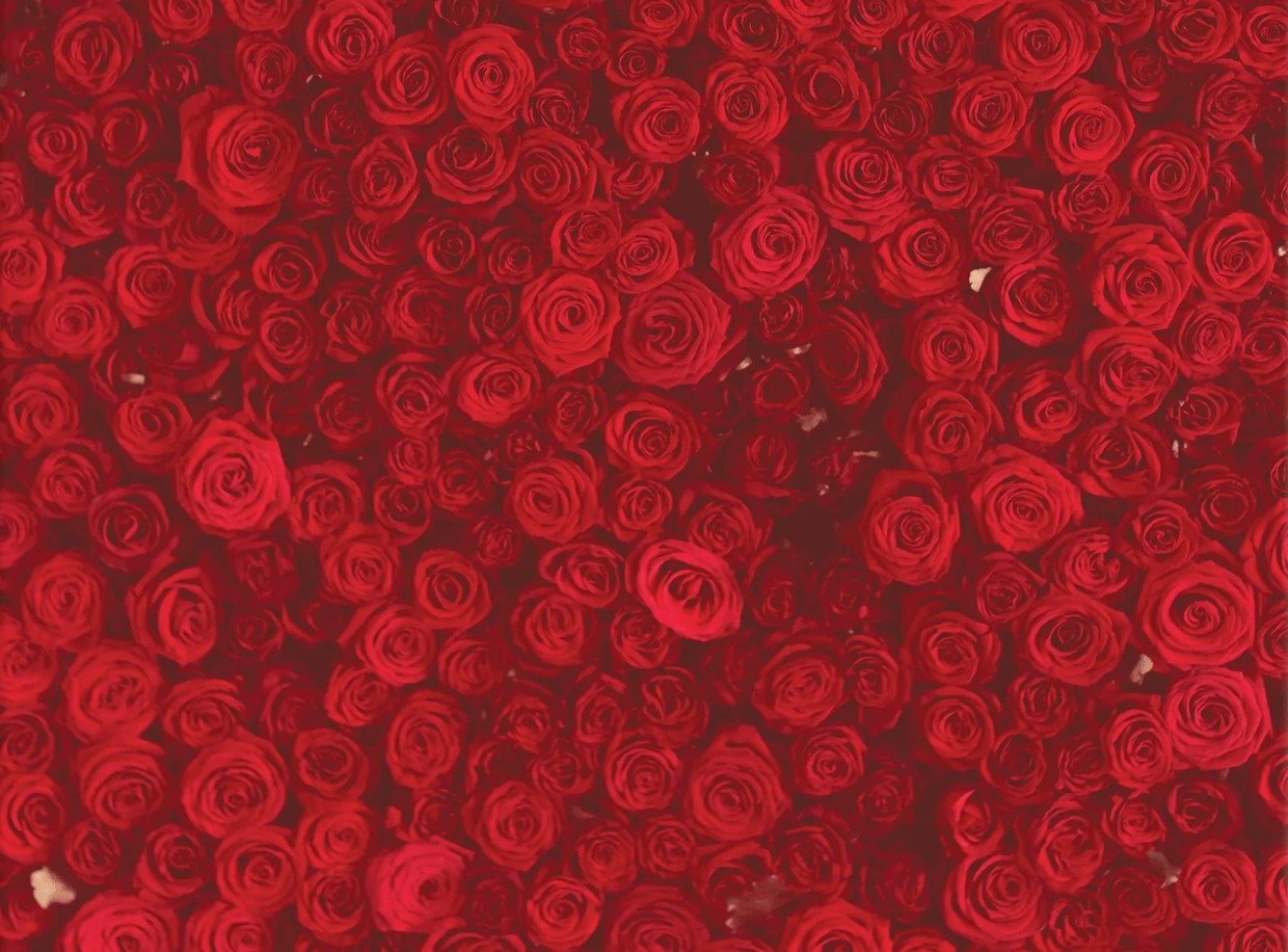 Red Roses