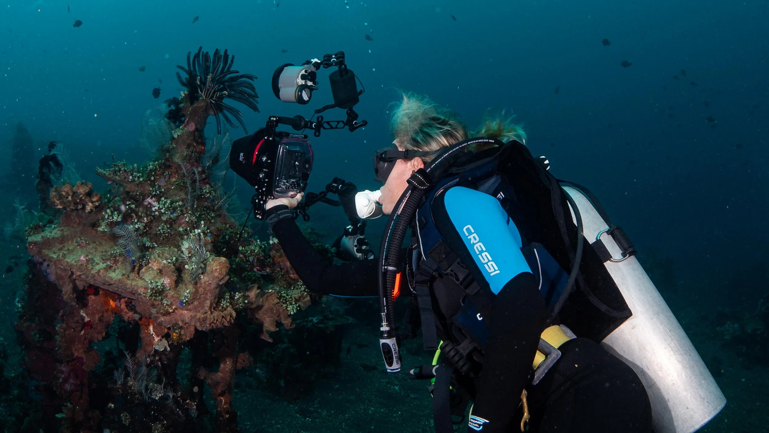 The hydroids and coral on the new statues are home to countless dascyllus fish, scorpion fish and ghost pipe fish.