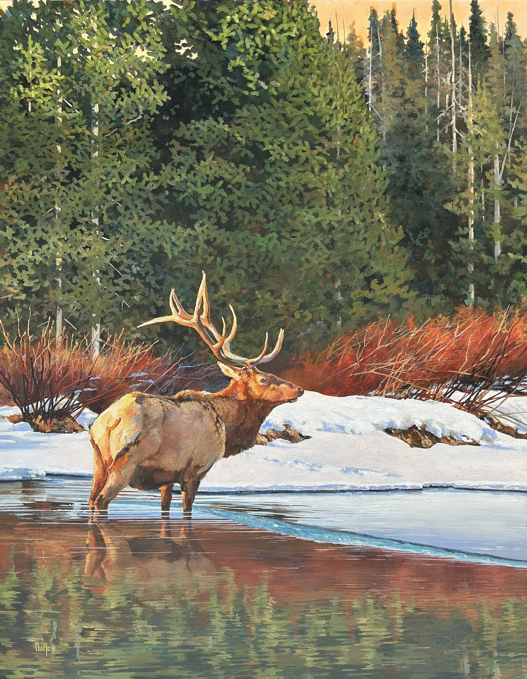 Winter Elk-Ed DuRose