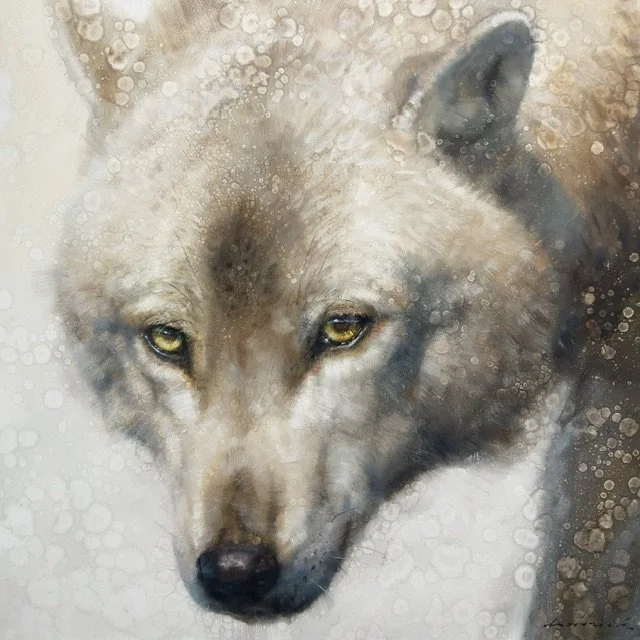Prowl
Oil
60" x 60"

$21,700