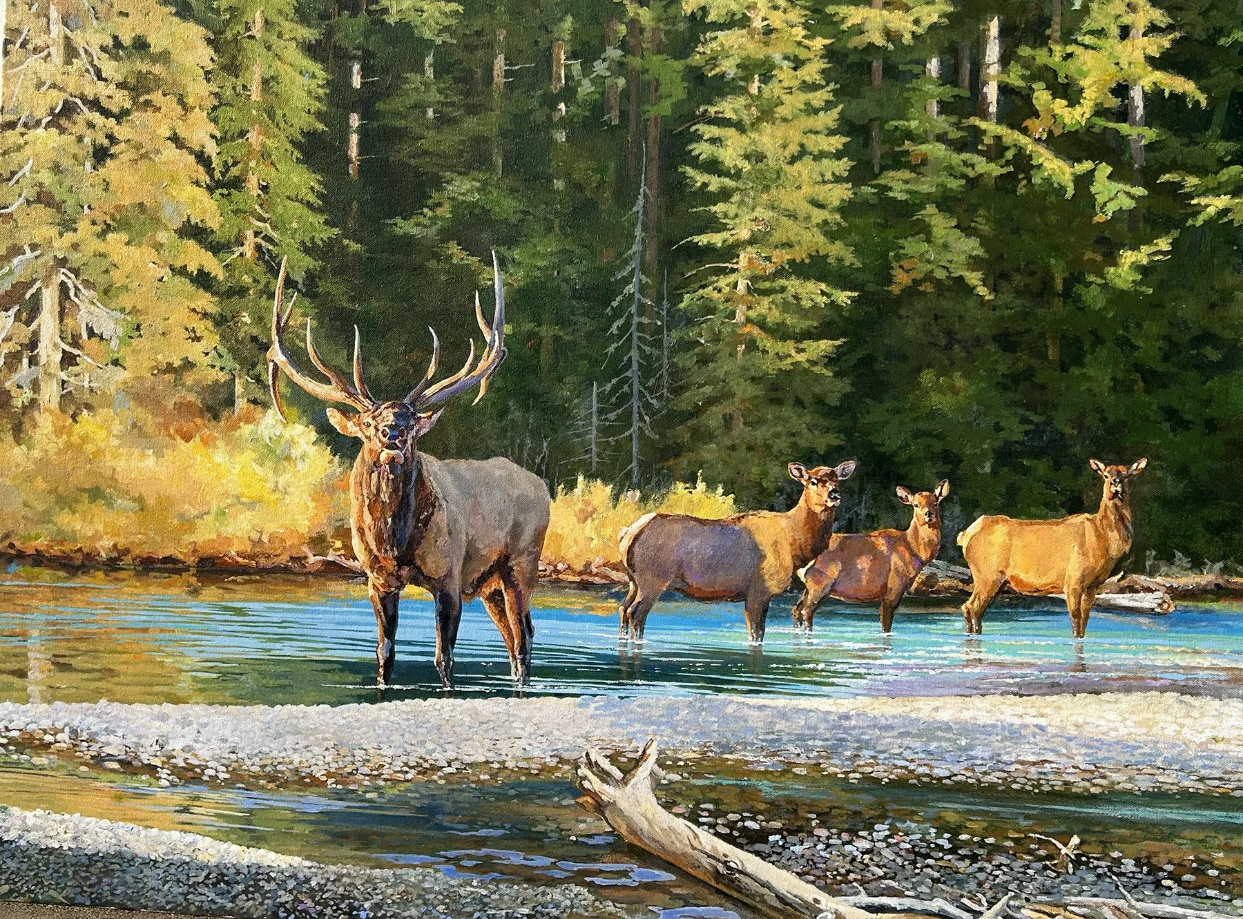 The Call
Acrylic
30" x 40"

$6,300