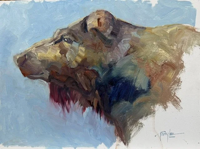Griz
Oil
12" x 16"

$1,800