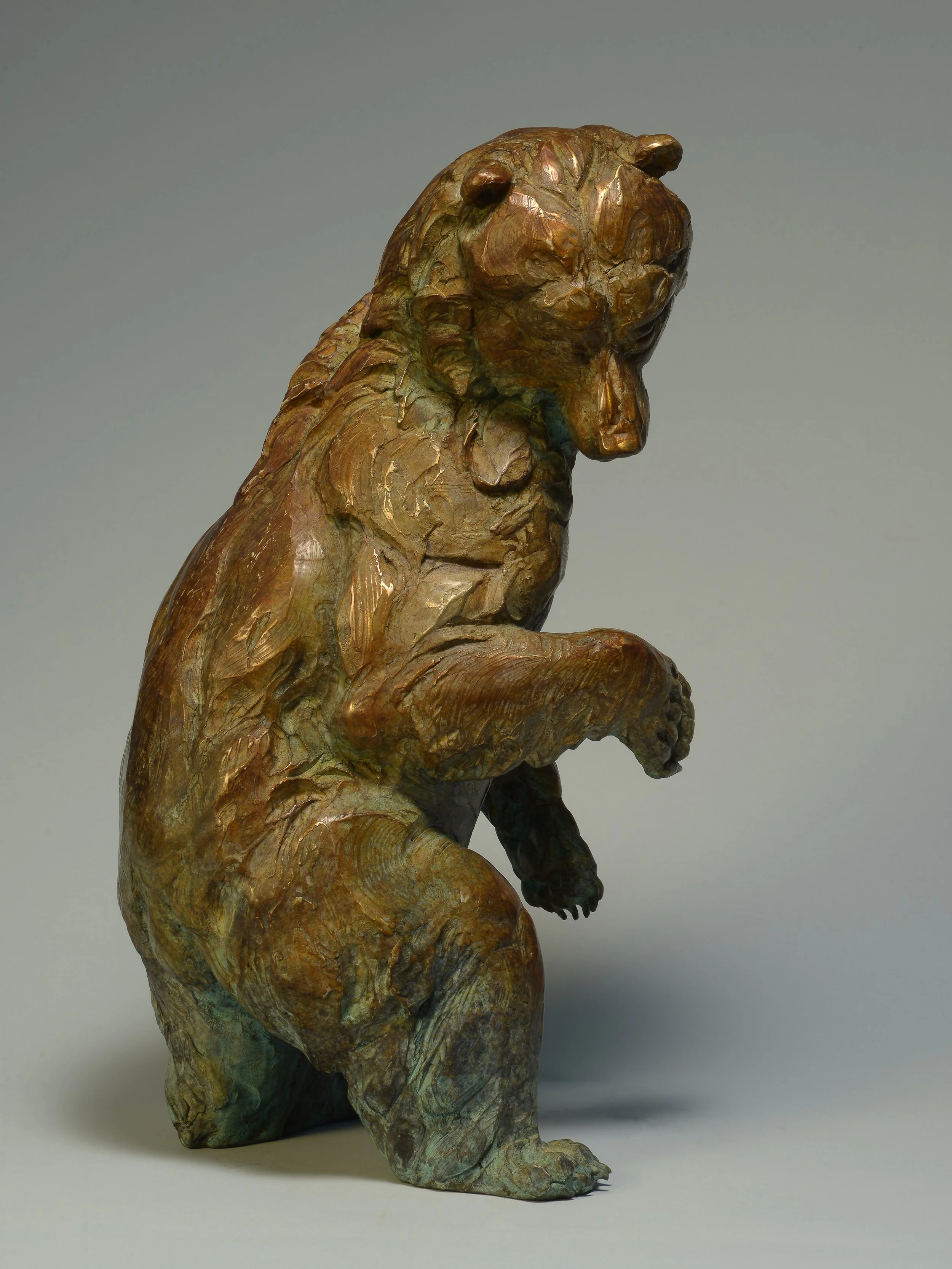 Ascendant
Bronze

$4,200
