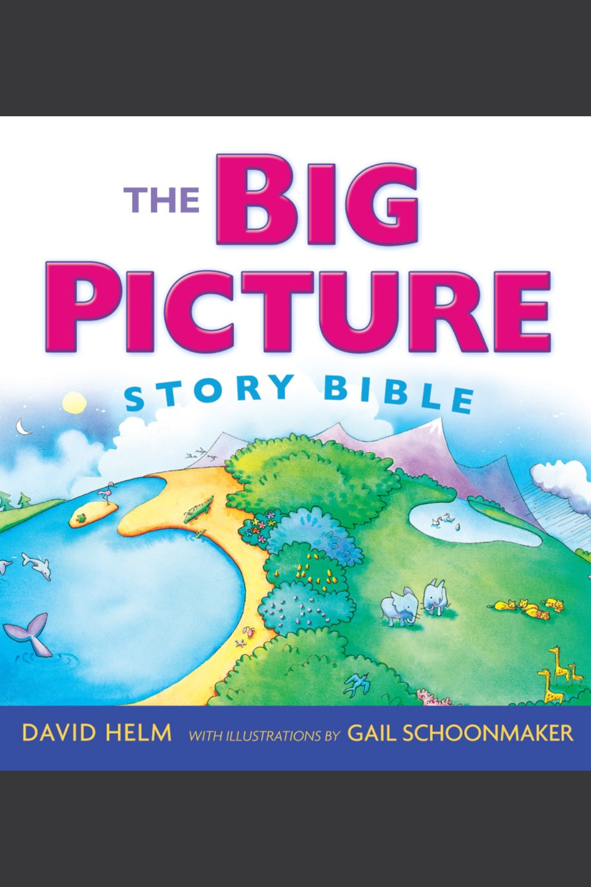 big picture story bible.png