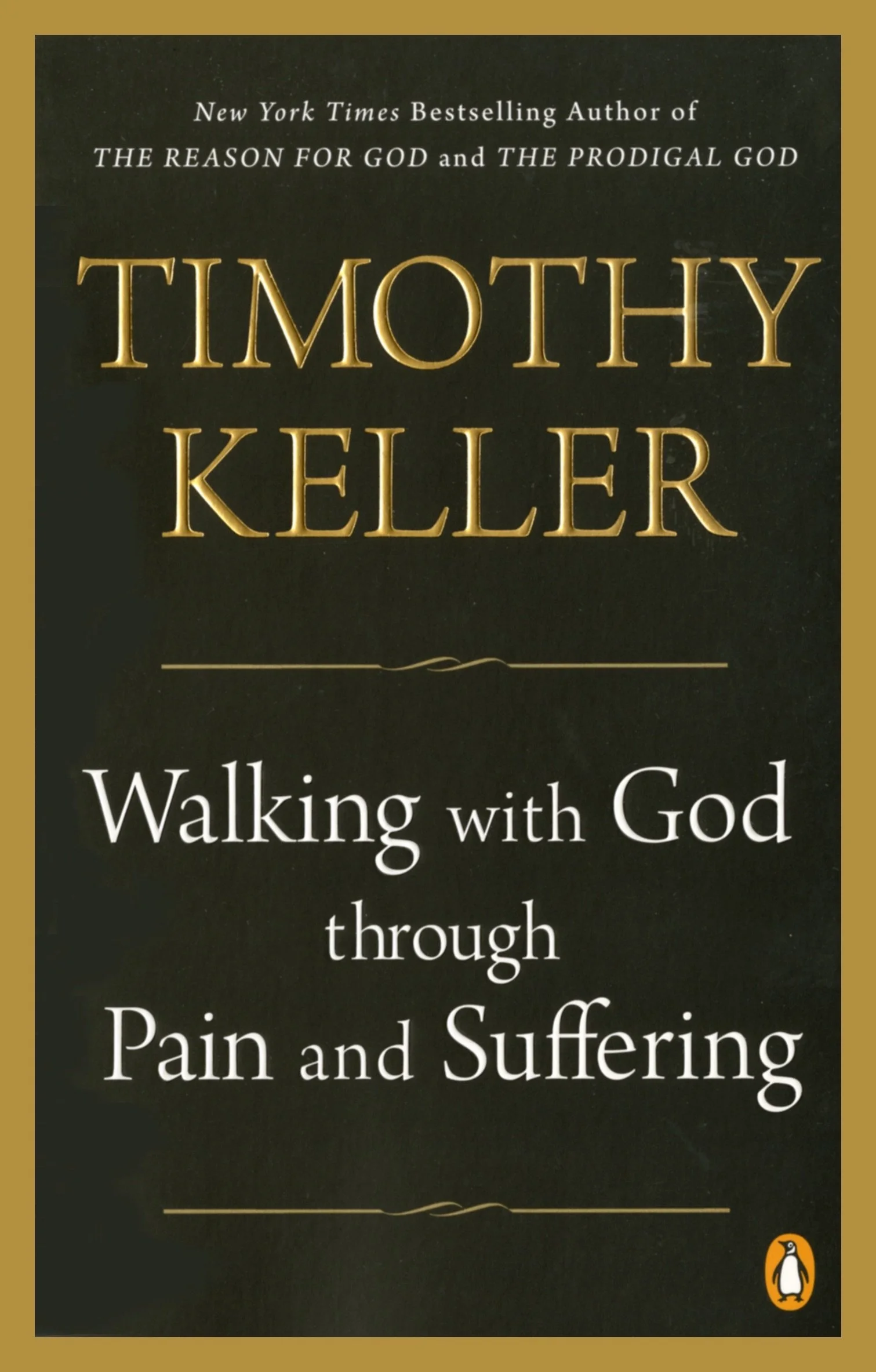 walking-with-god-through-pain-and-suffering.jpg